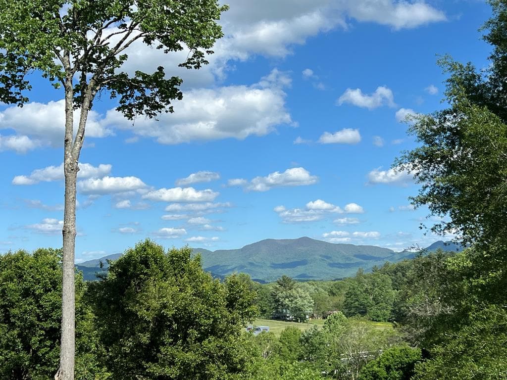 Lot 8 Cabin Drive, Hayesville NC 28904 - Photo