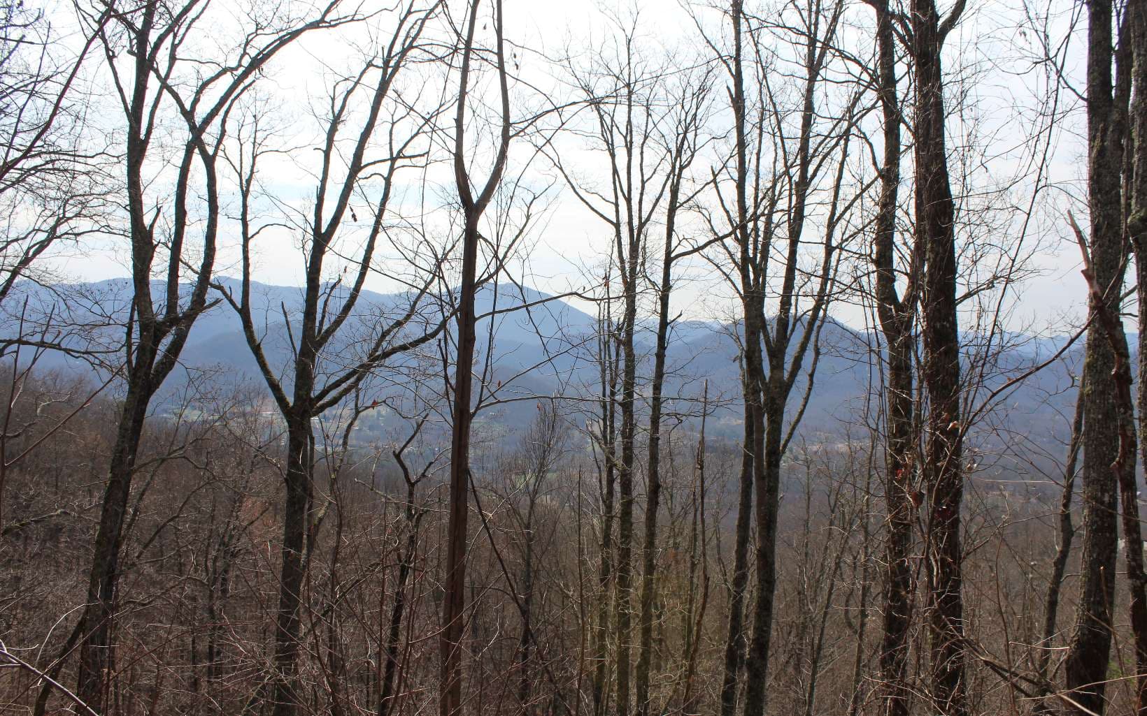 LT 11 The Pinnacle, Hayesville NC 28904 - Photo