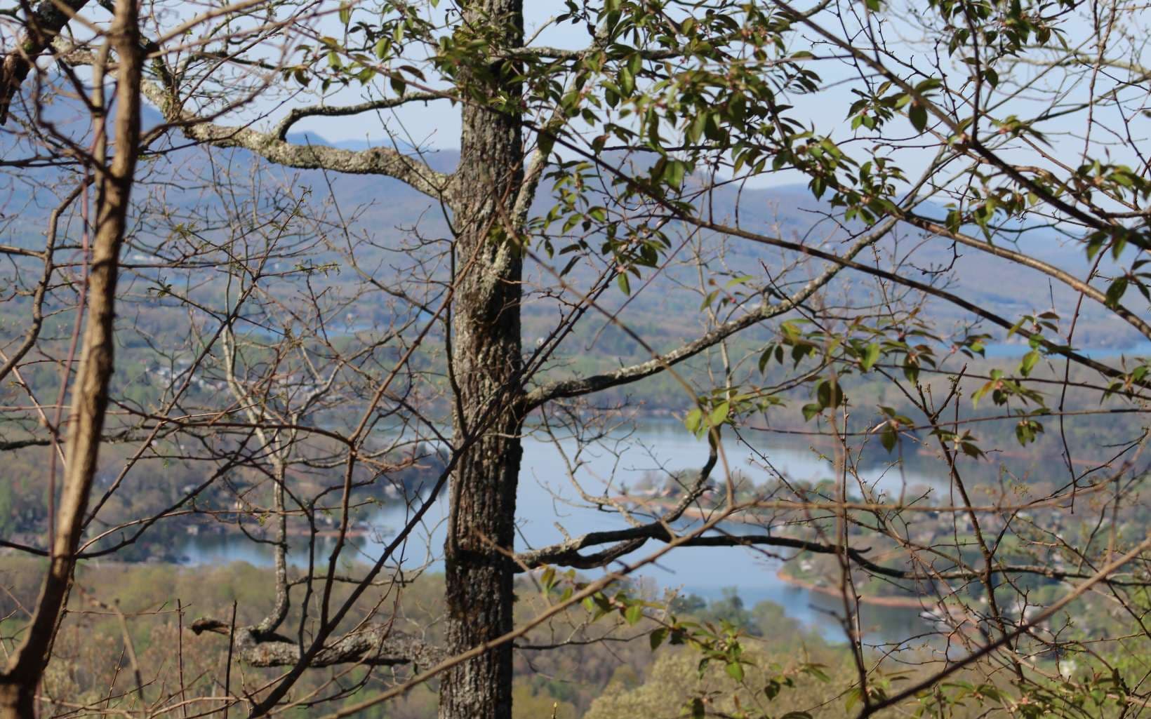 LT 11 The Pinnacle, Hayesville NC 28904 - Primary photo