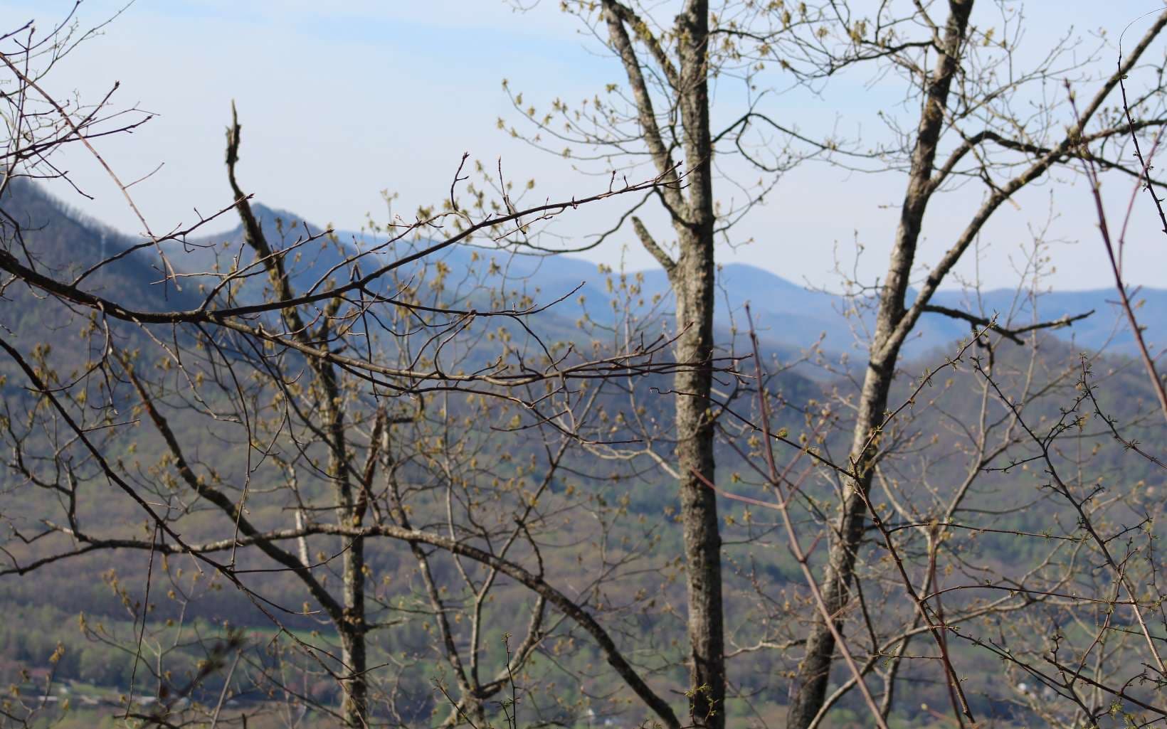 LT 11 The Pinnacle, Hayesville NC 28904 - Photo
