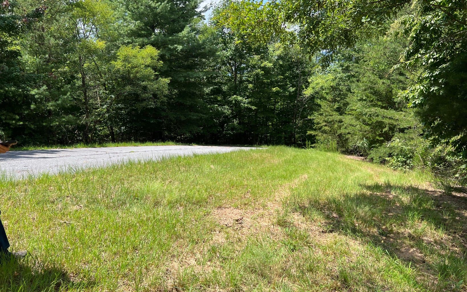 Lot 59 Fires Creek Cove Road, Hayesville NC 28904 - Photo