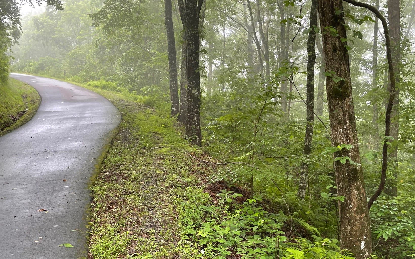 Lot 7 Trillium Heights, Brasstown NC 28902 - Photo