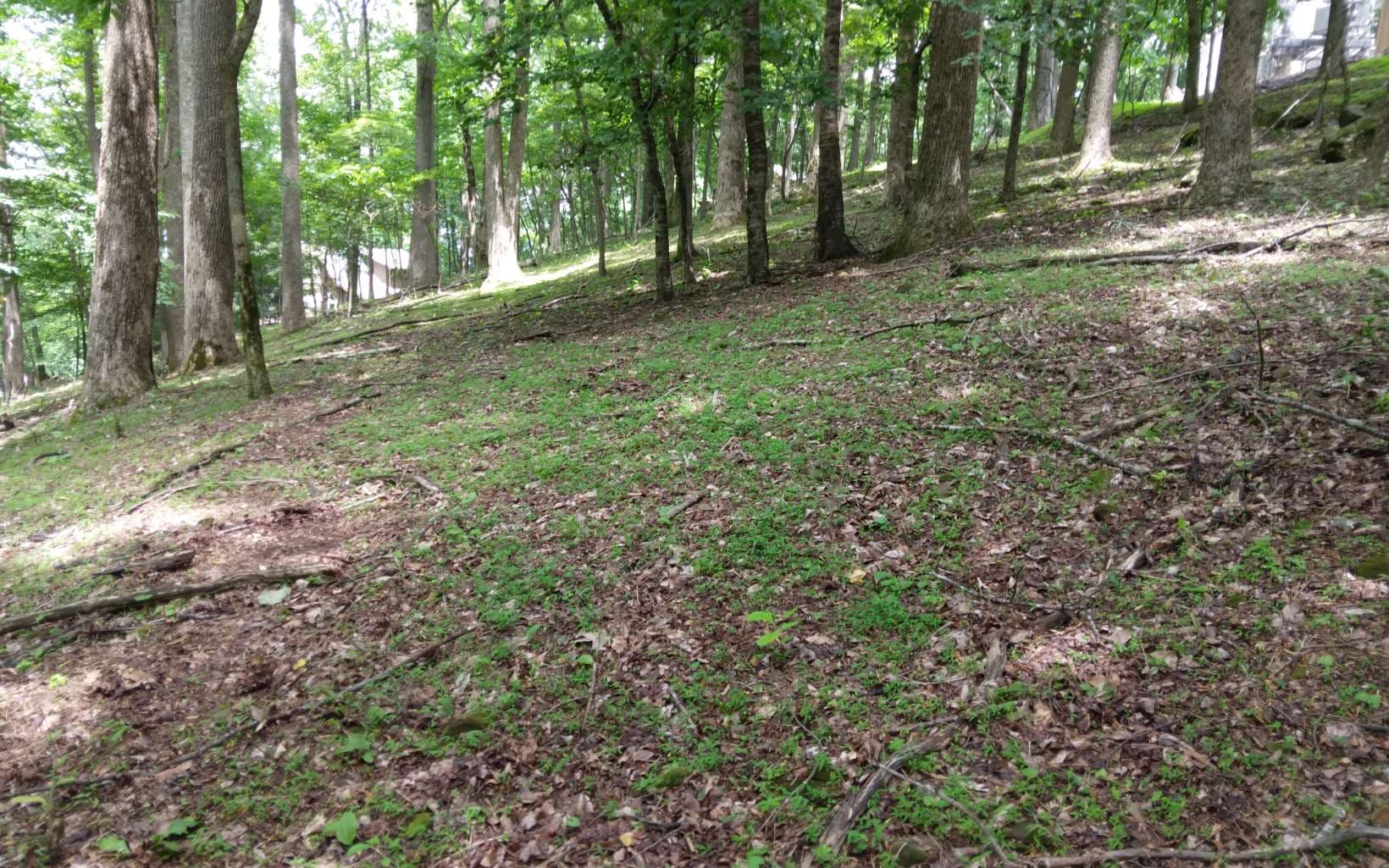 M213 Walnut Ridge, Ellijay GA 30536 - Photo