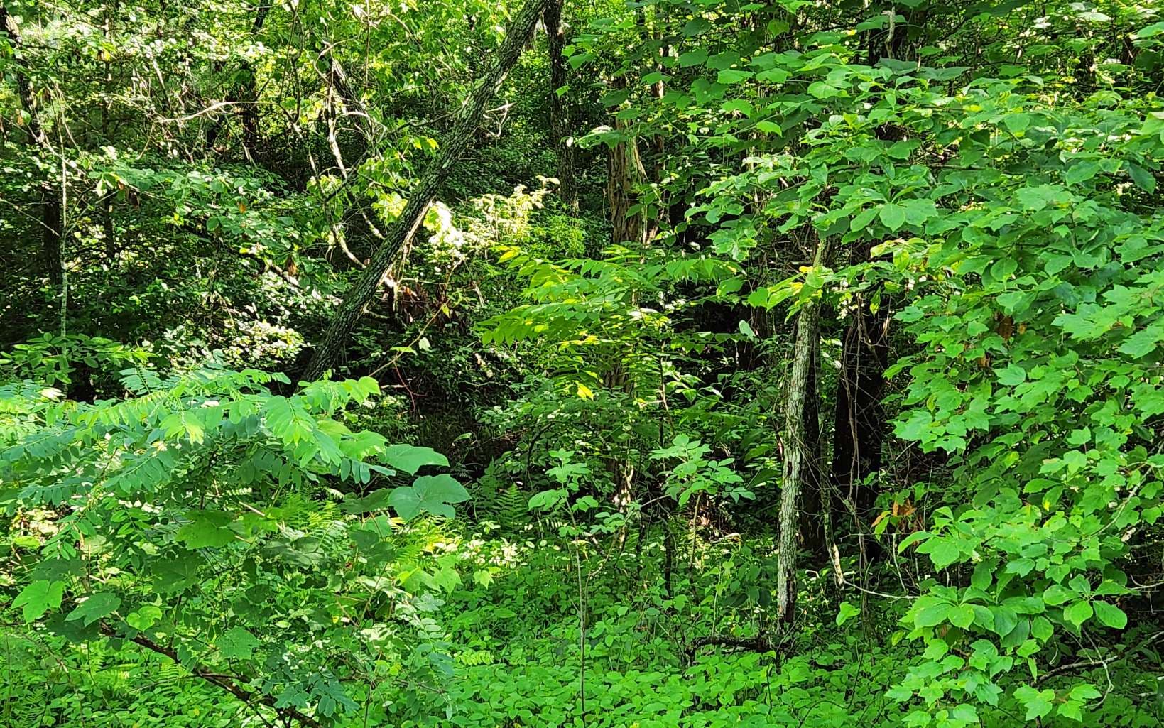 3.5AC Sassafras Ridge Road, Turtletown TN 37391 - Photo