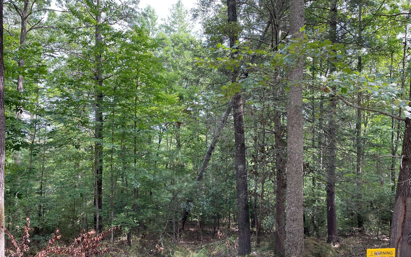 LOT13 Sour Apple Lane, Blairsville GA 30512 - Photo
