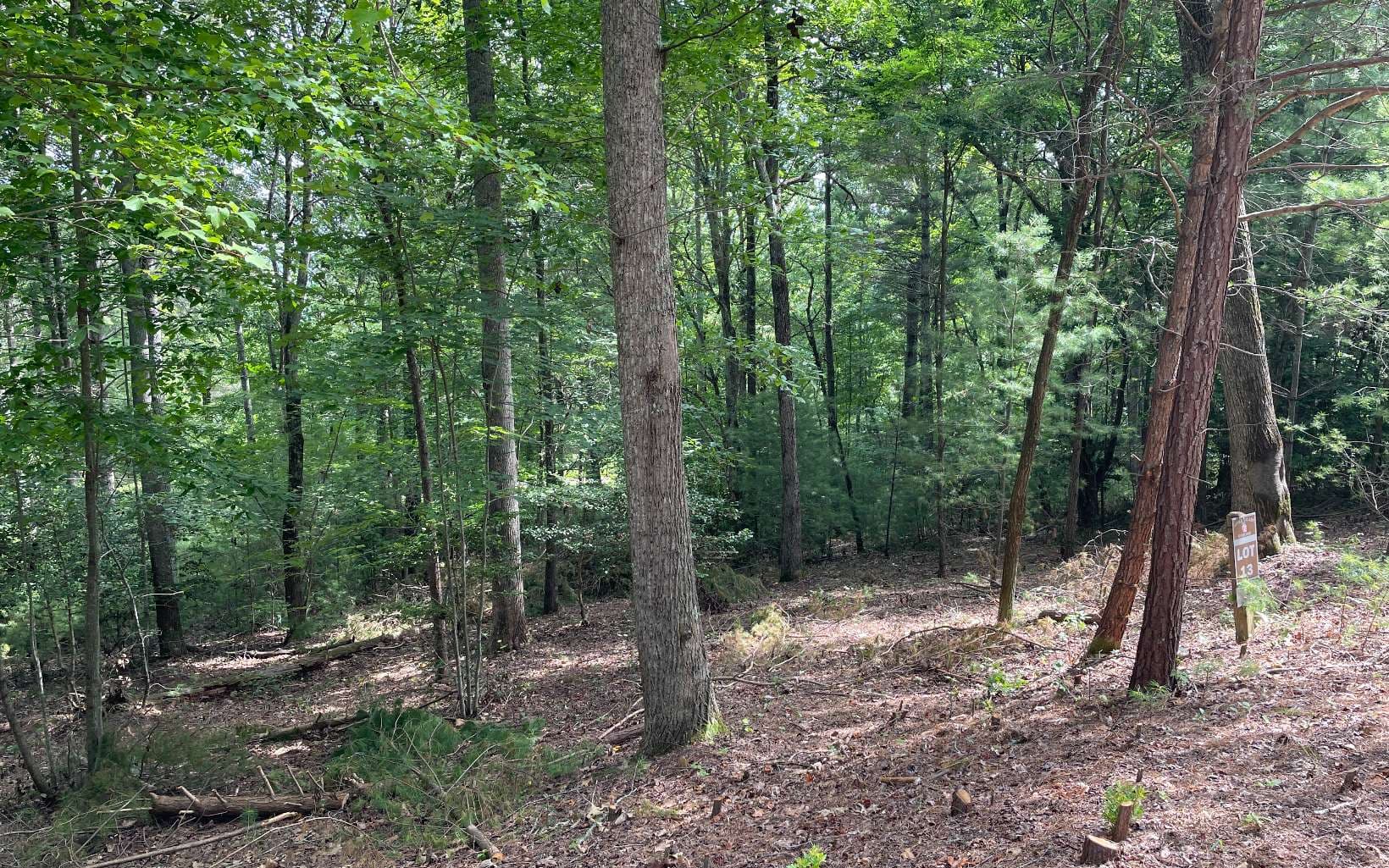 LOT13 Sour Apple Lane, Blairsville GA 30512 - Photo