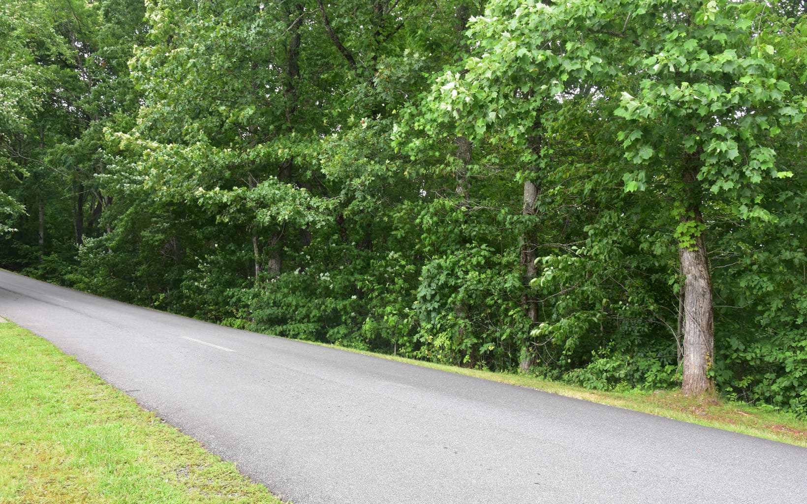 85A Licklog Ridge, Hayesville NC 28904 - Photo