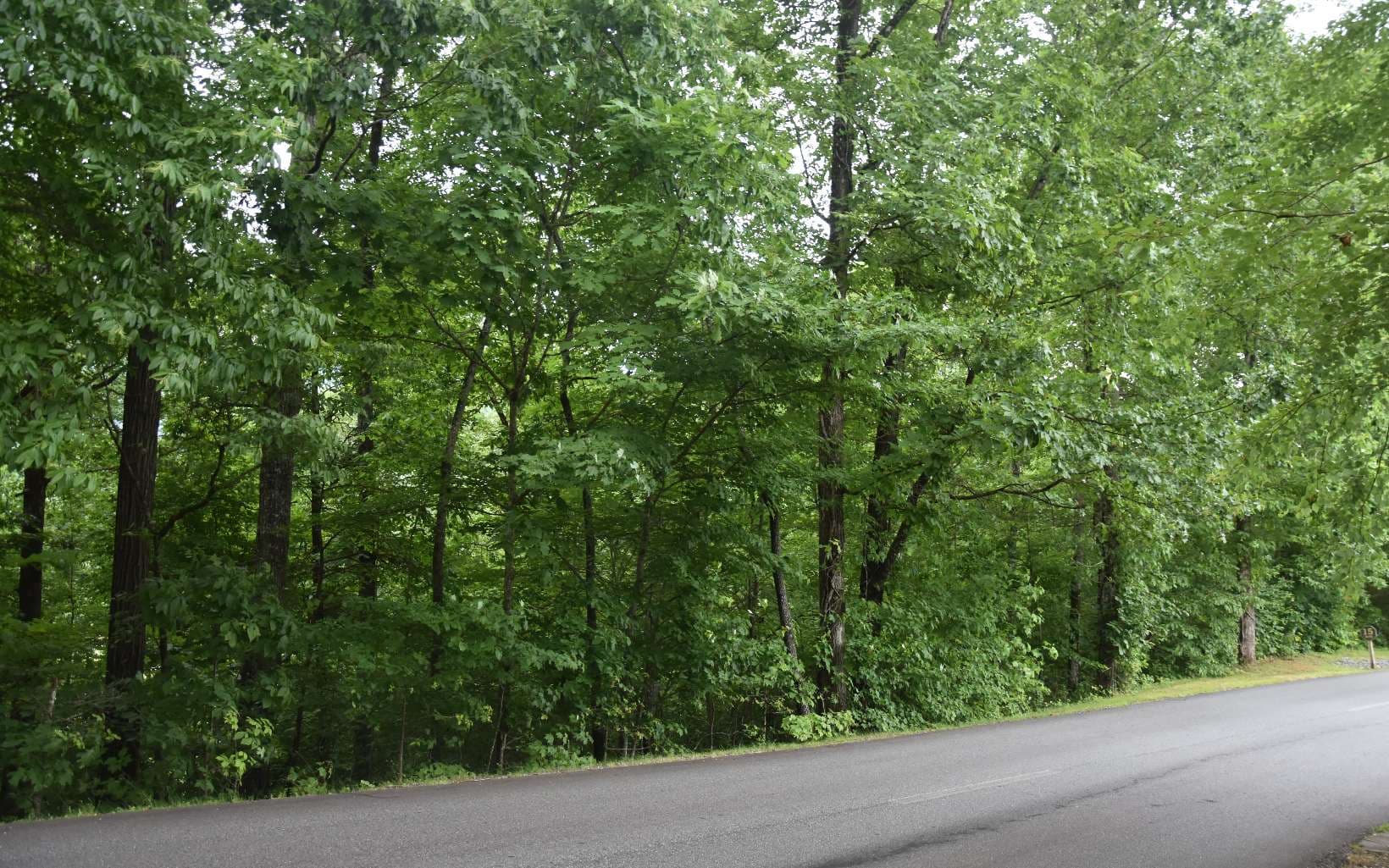 85A Licklog Ridge, Hayesville NC 28904 - Photo