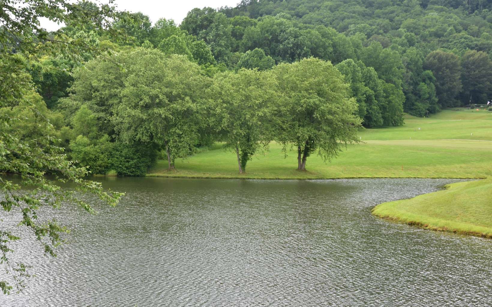 85A Licklog Ridge, Hayesville NC 28904 - Photo