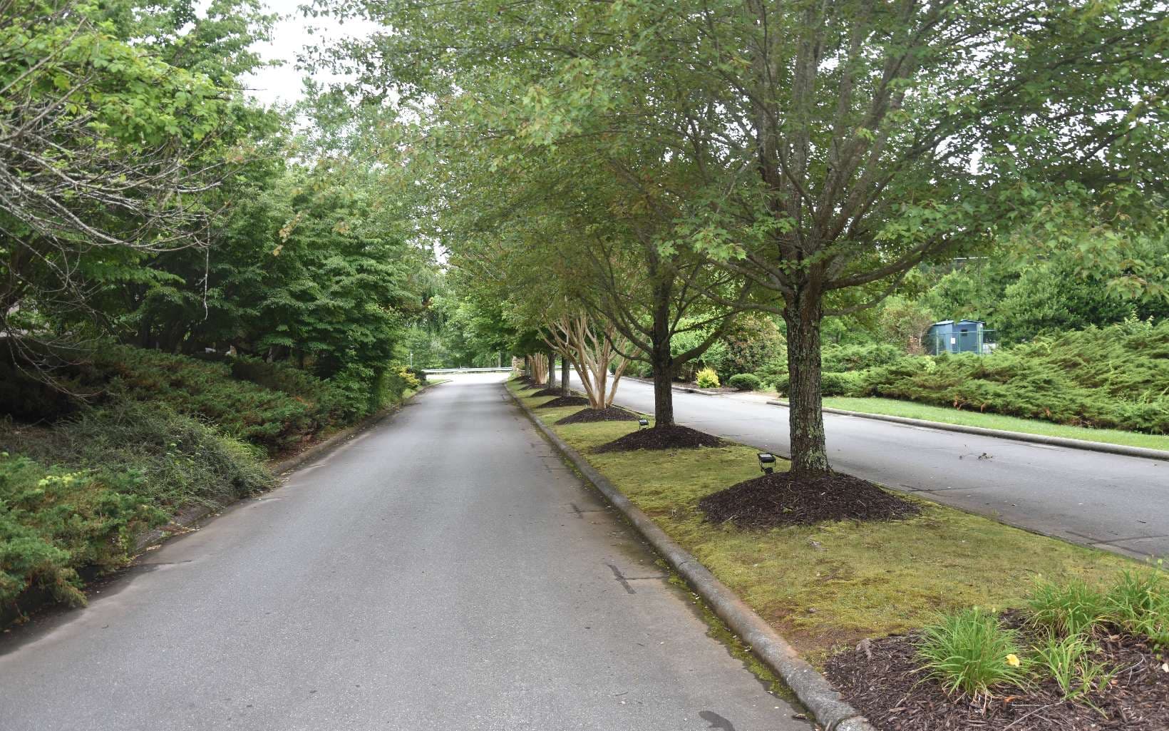 85A Licklog Ridge, Hayesville NC 28904 - Photo