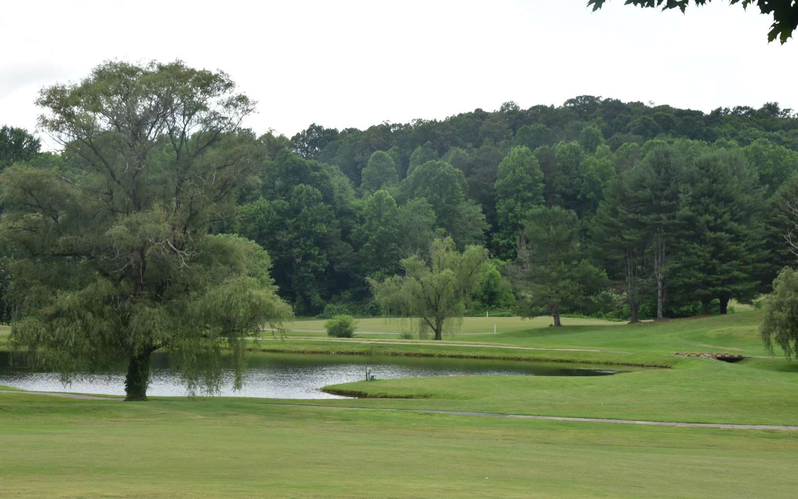 85A Licklog Ridge, Hayesville NC 28904 - Photo