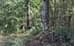 00 Hwy 515, Talking Rock GA 30175 - Photo