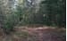 00 Hwy 515, Talking Rock GA 30175 - Primary photo