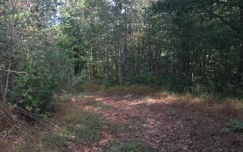 00 Hwy 515, Talking Rock GA 30175 - Photo