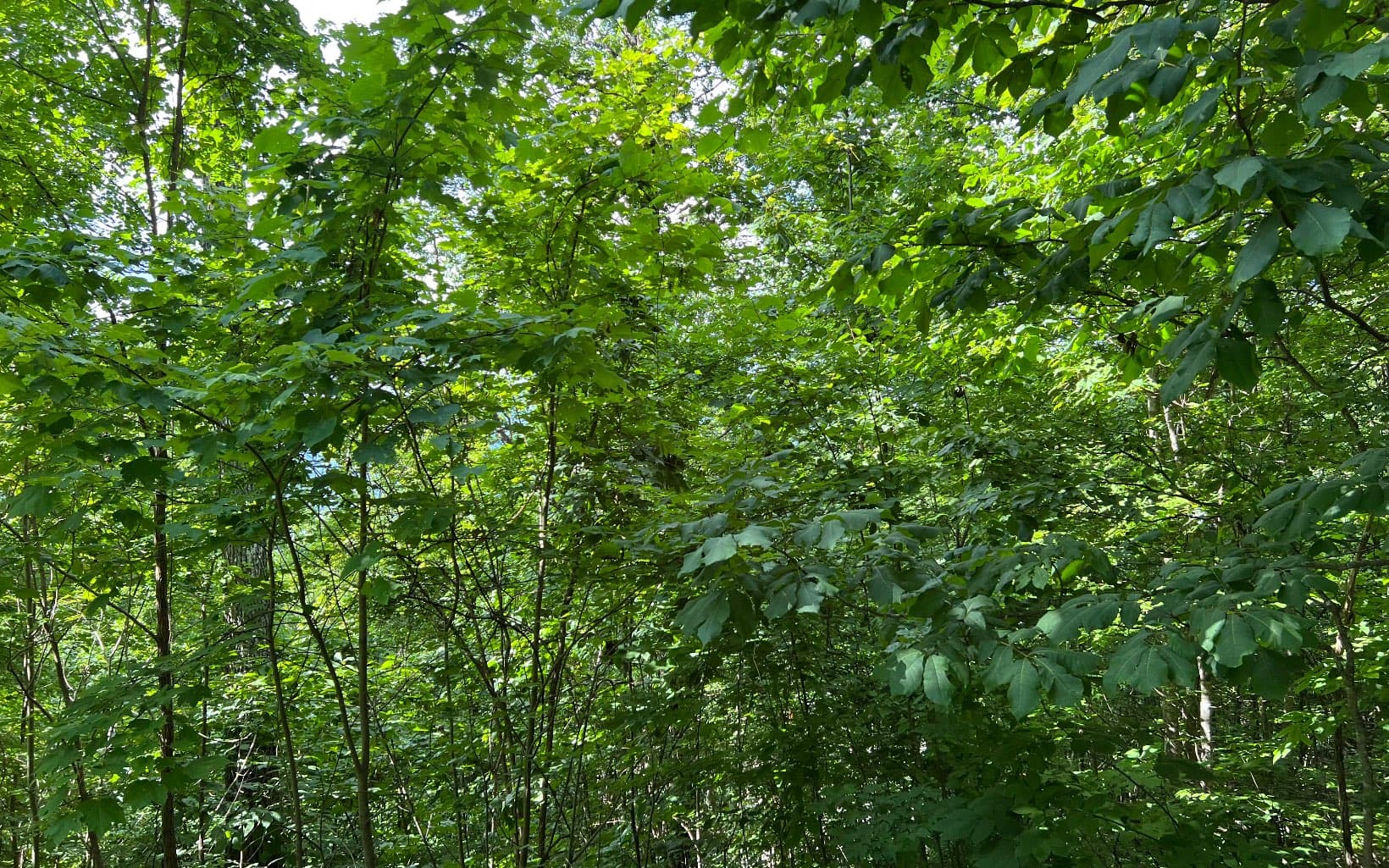 Lot 73 Eagles View, Hayesville NC 28904 - Photo