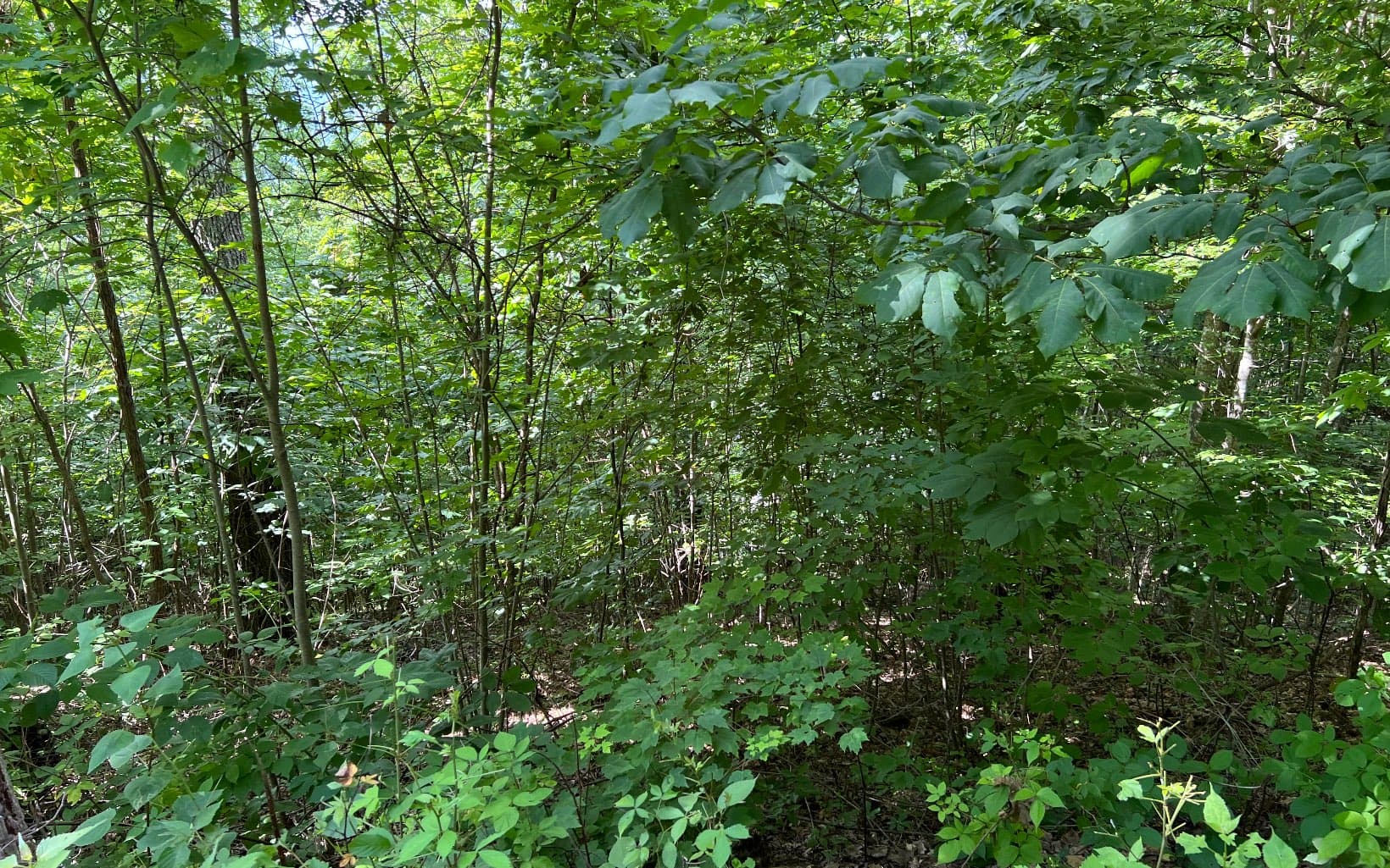 Lot 73 Eagles View, Hayesville NC 28904 - Photo