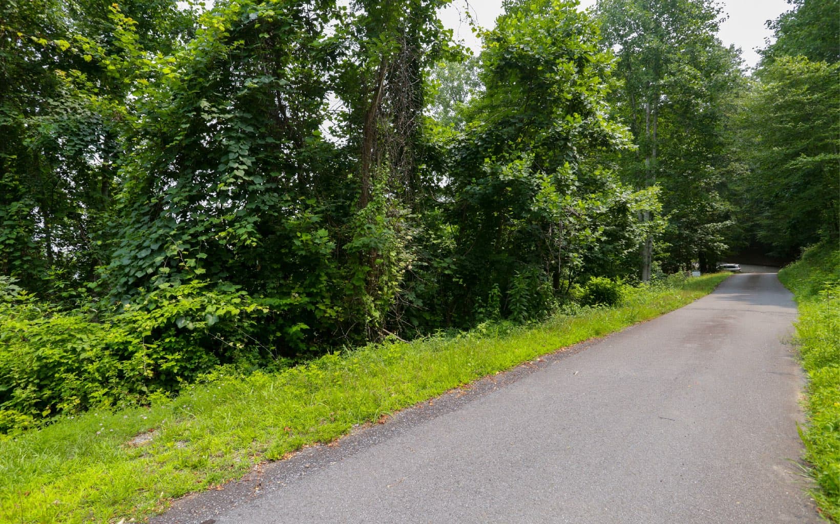 Lot 73 Eagles View, Hayesville NC 28904 - Photo