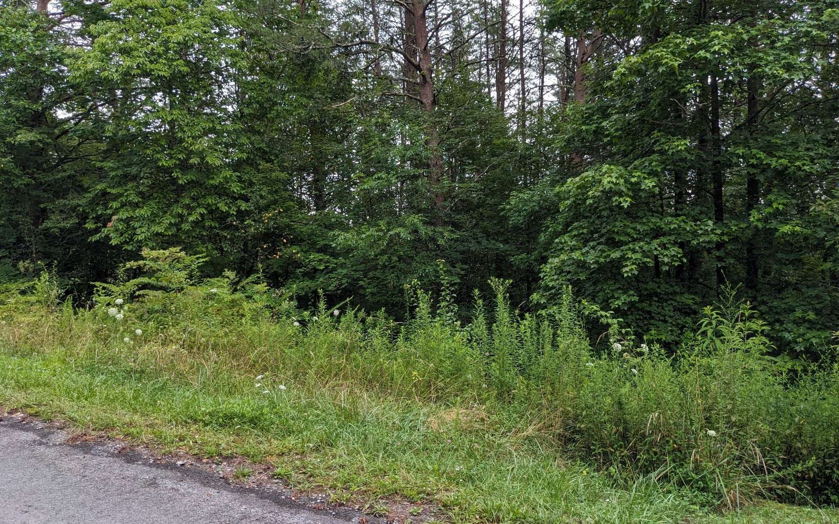 LOT32 Lakeview Drive, Turtletown TN 37391 - Photo