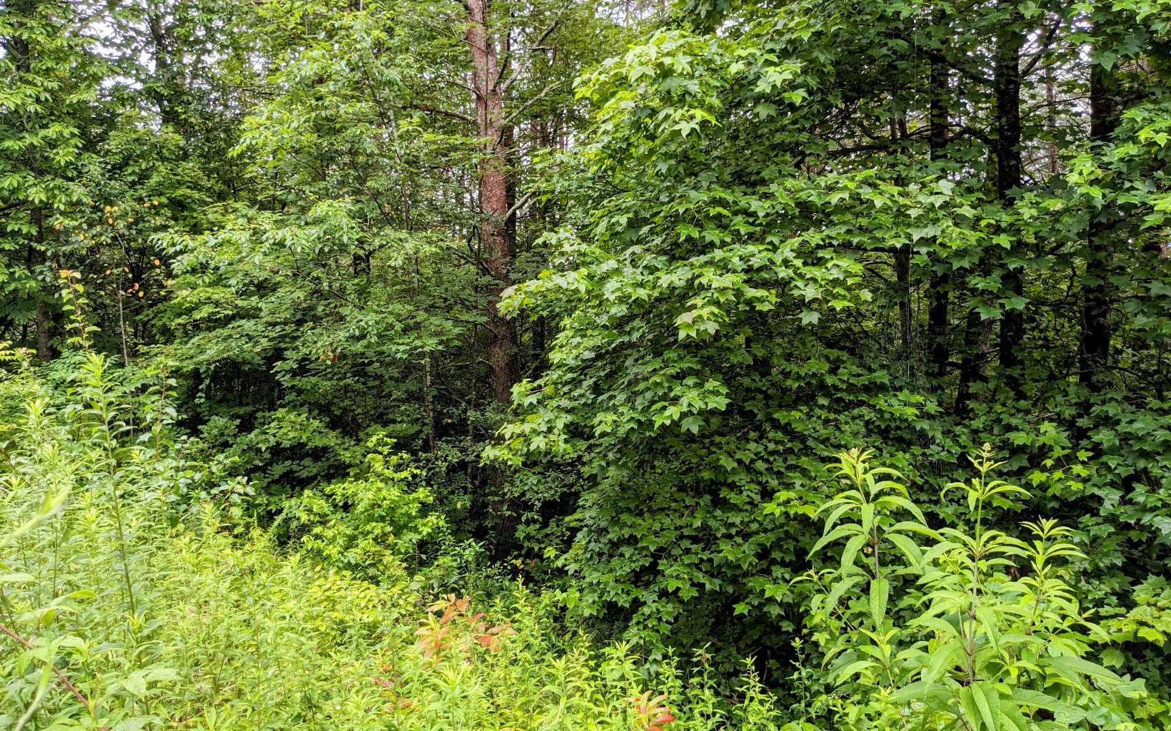 LOT32 Lakeview Drive, Turtletown TN 37391 - Photo