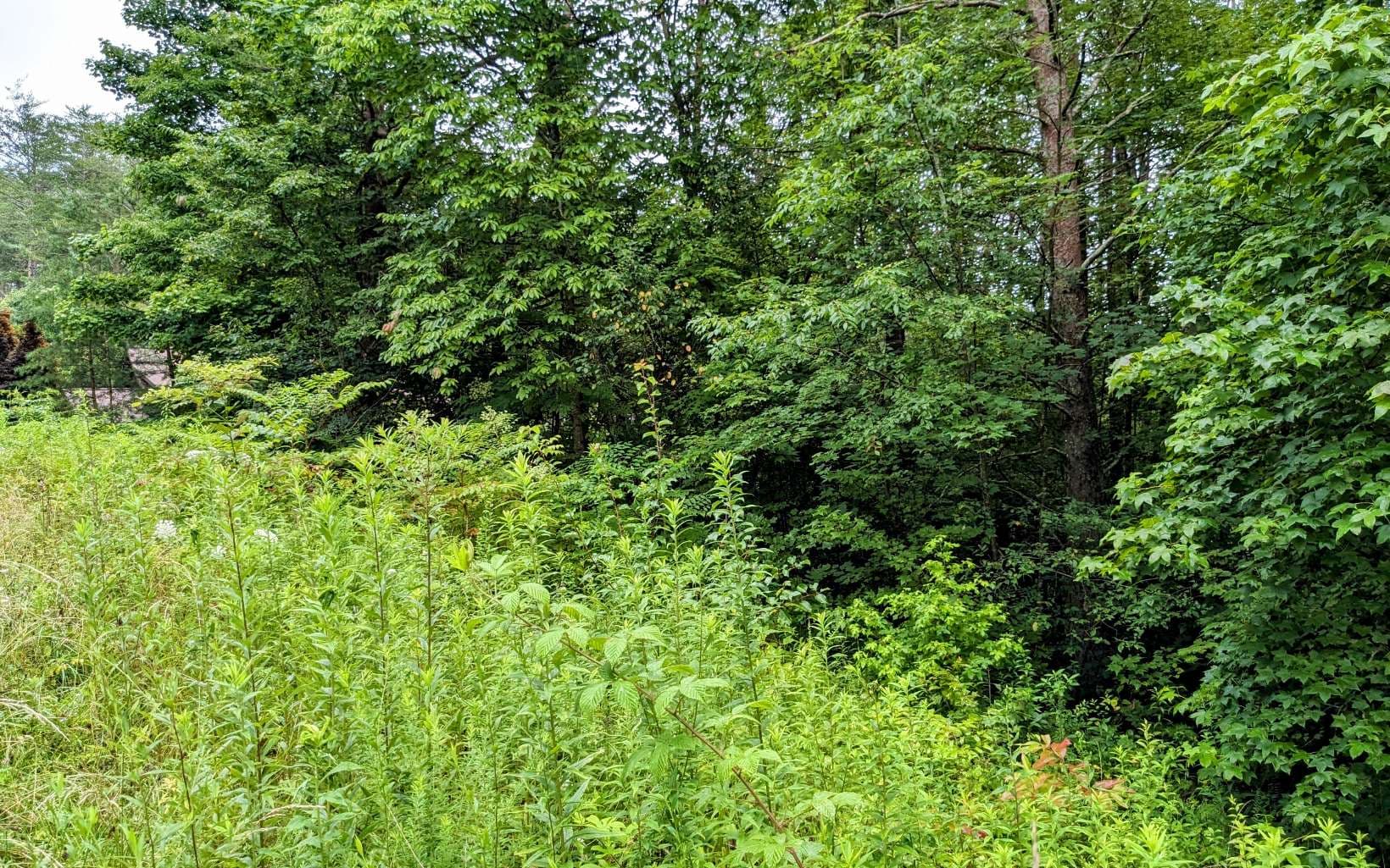 LOT32 Lakeview Drive, Turtletown TN 37391 - Photo