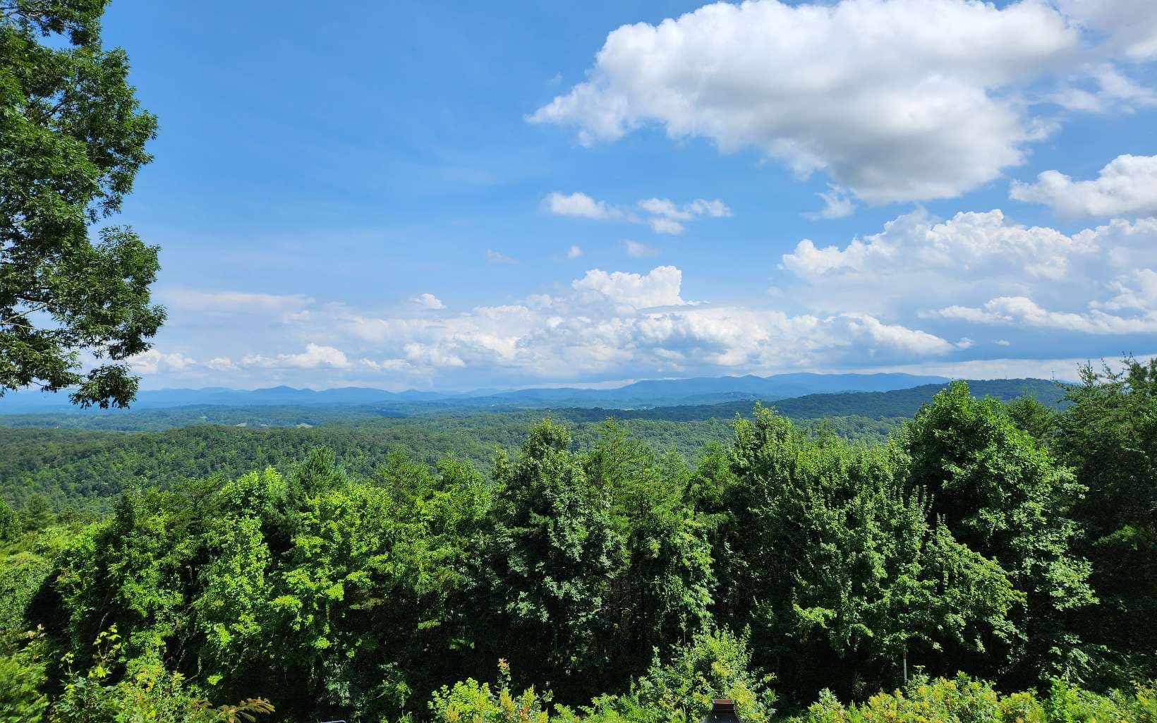 Lot 31 Lookout Drive, Blue Ridge GA 30513 - Photo