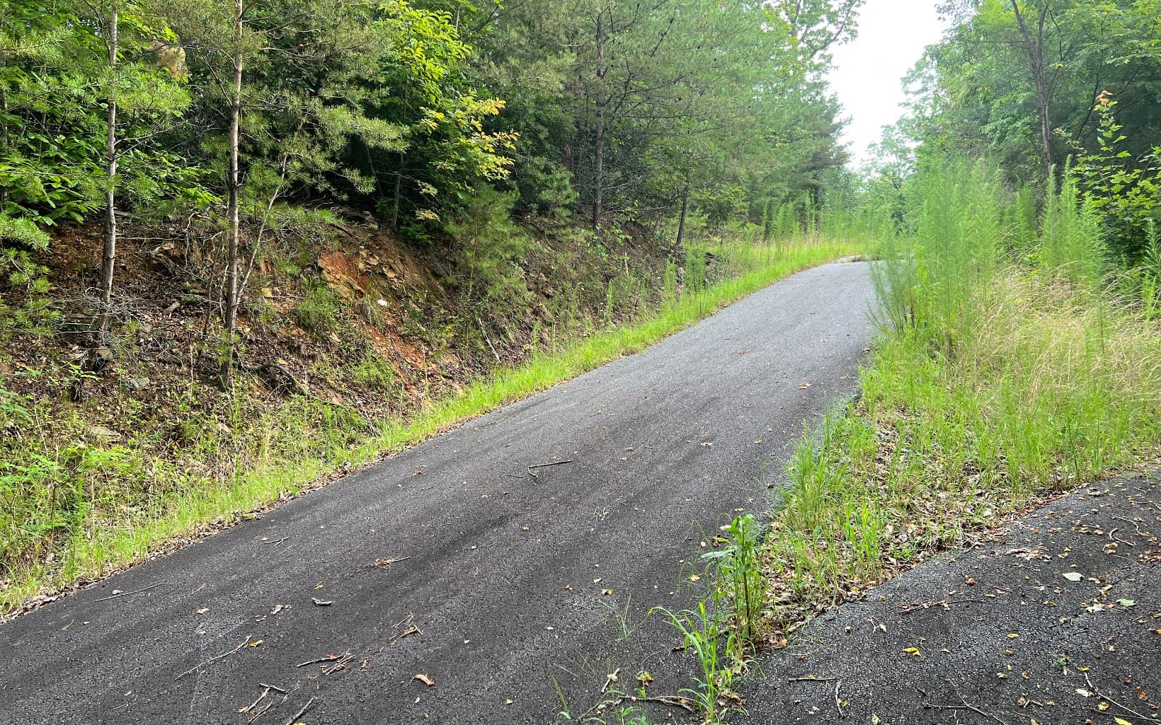 Lot 8 The Preserve At Beach Mountain, Brasstown NC 28902 - Photo