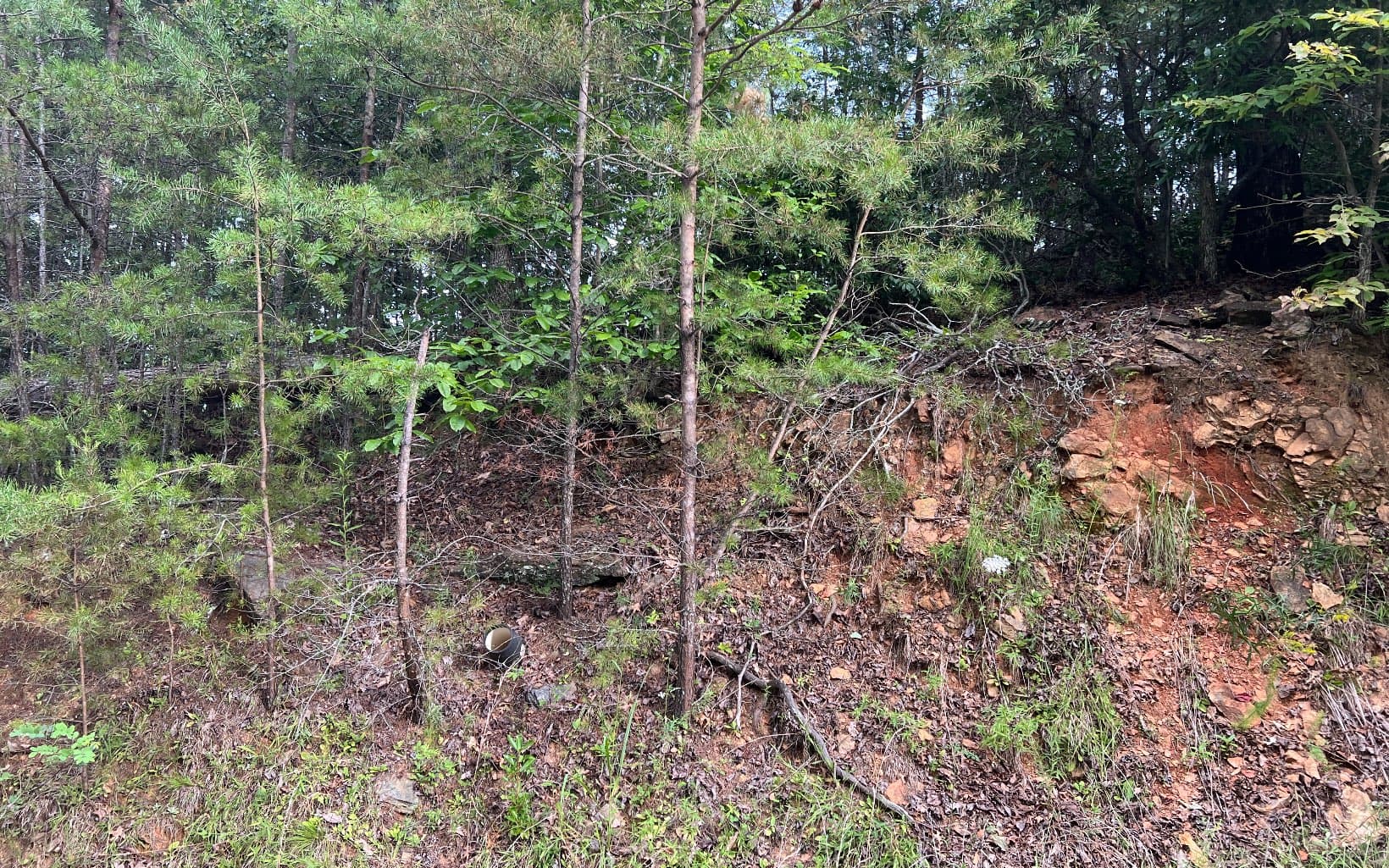 Lot 8 The Preserve At Beach Mountain, Brasstown NC 28902 - Photo