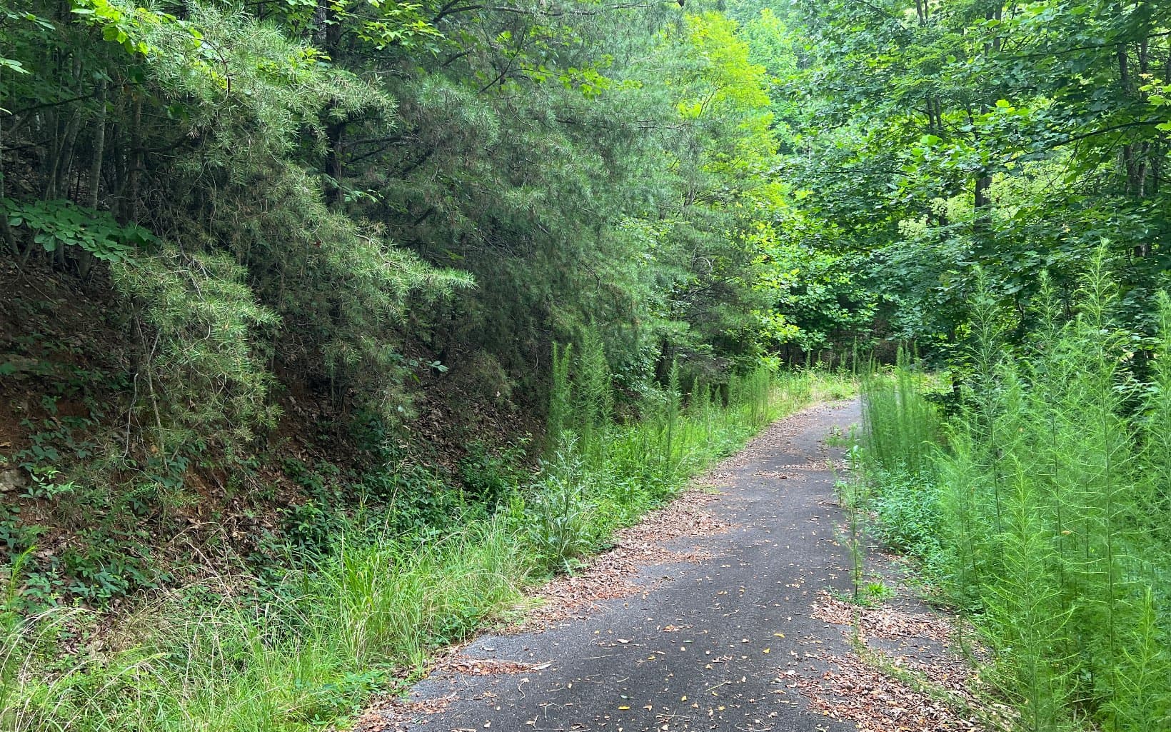 Lot 11 The Preserve At Beach Mountain, Brasstown NC 28902 - Photo