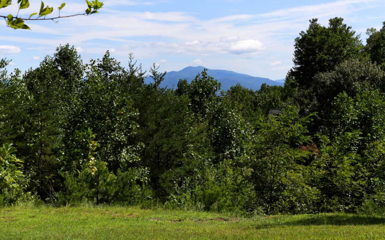 76 Hollyanne Pond Road, Hayesville NC 28904 - Photo
