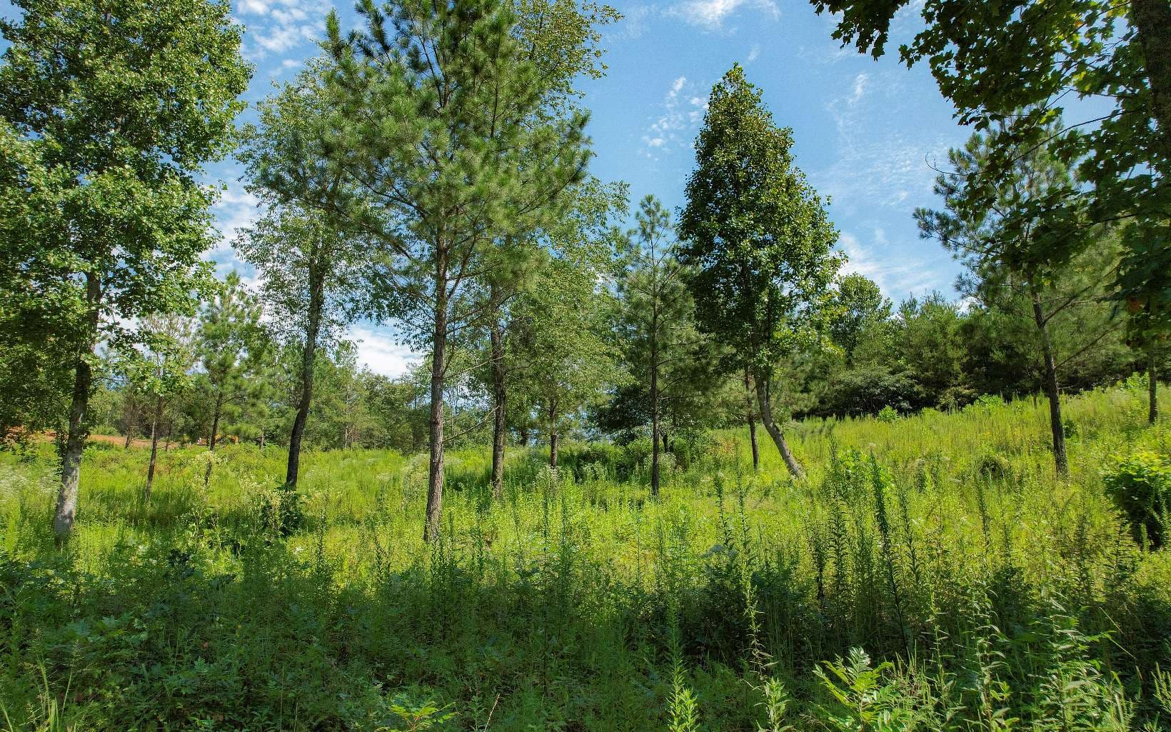 LT 26 Arbor Creek Trail, Mineral Bluff GA 30559 - Photo