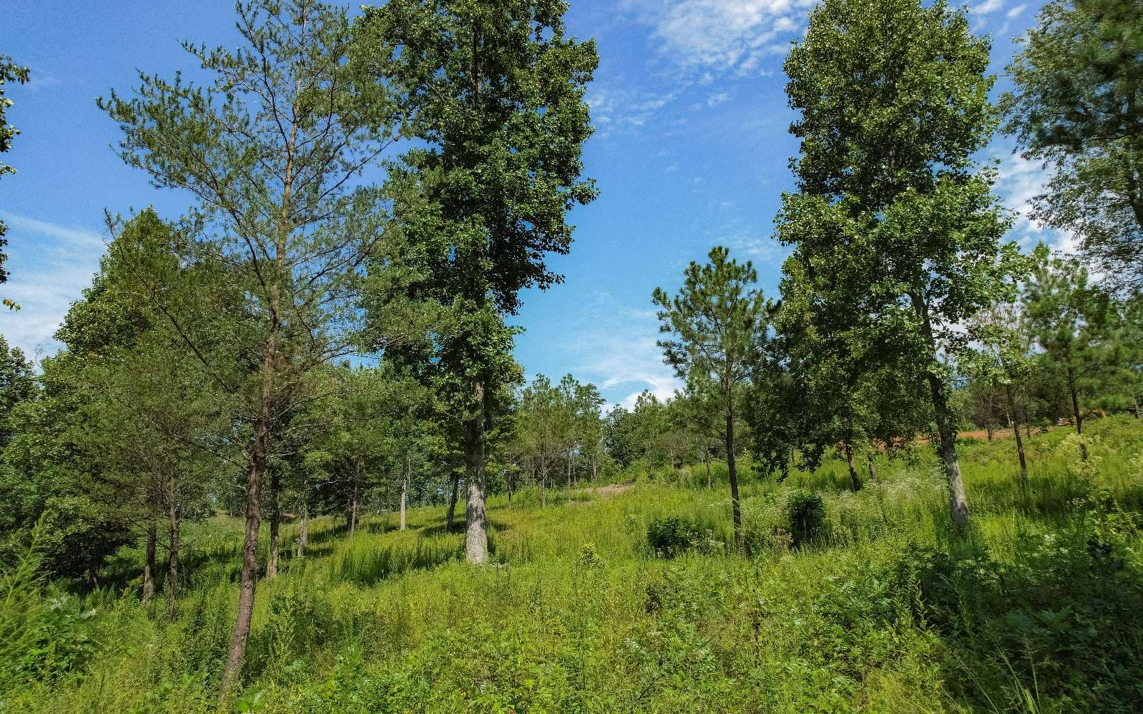 LT 26 Arbor Creek Trail, Mineral Bluff GA 30559 - Photo