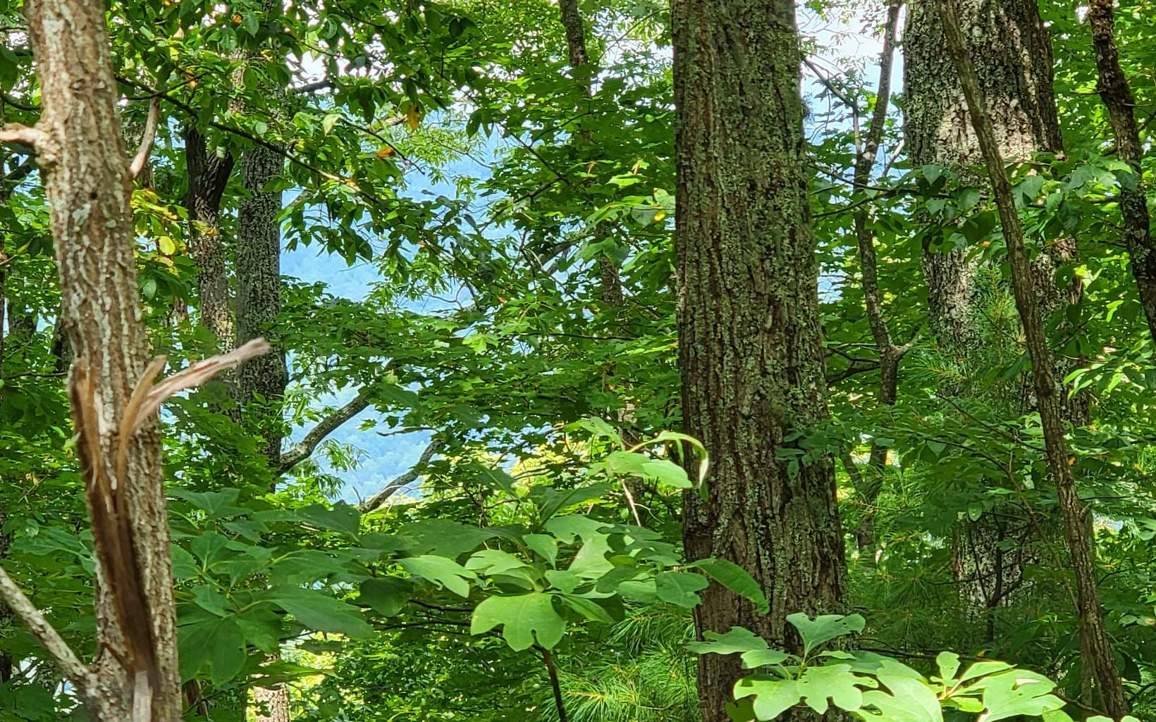 23 Oak Ridge North, Hayesville NC 28904 - Photo