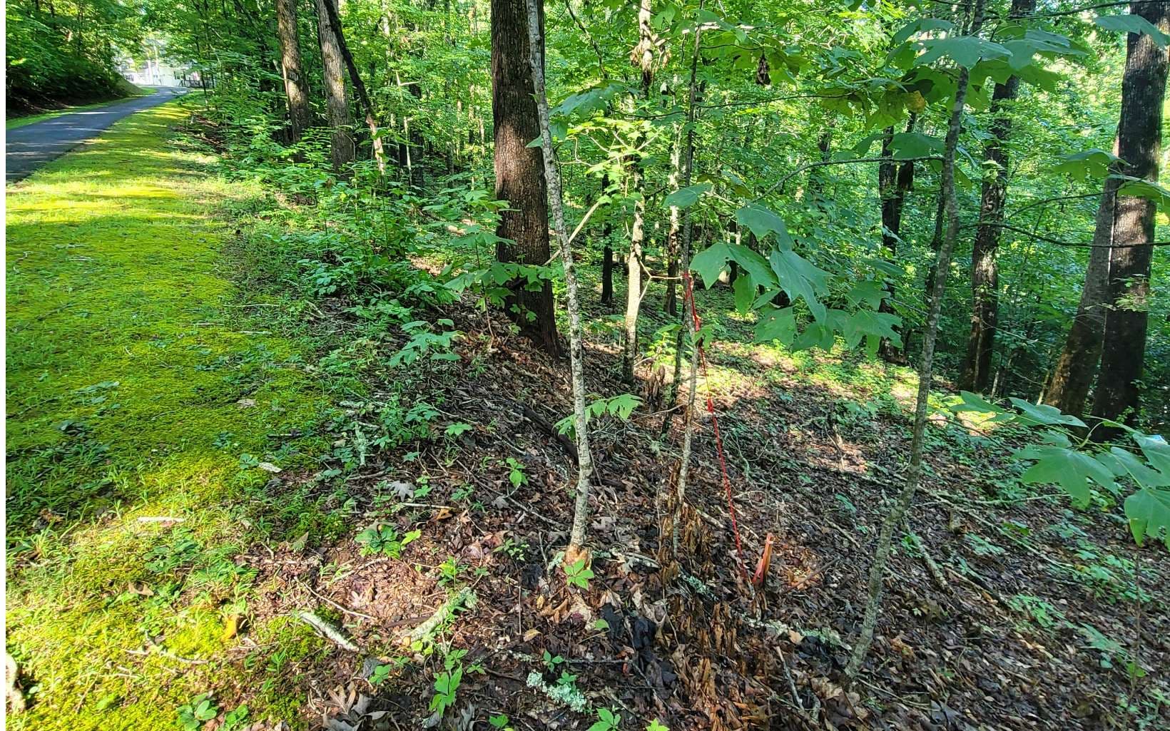 154-5 Dogwood Circle, Hayesville NC 28904 - Photo
