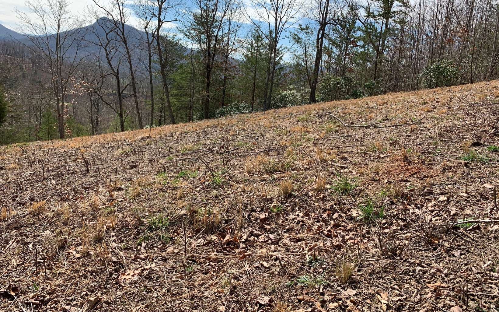Lot 42 Dan Knob, Hayesville NC 28904 - Photo