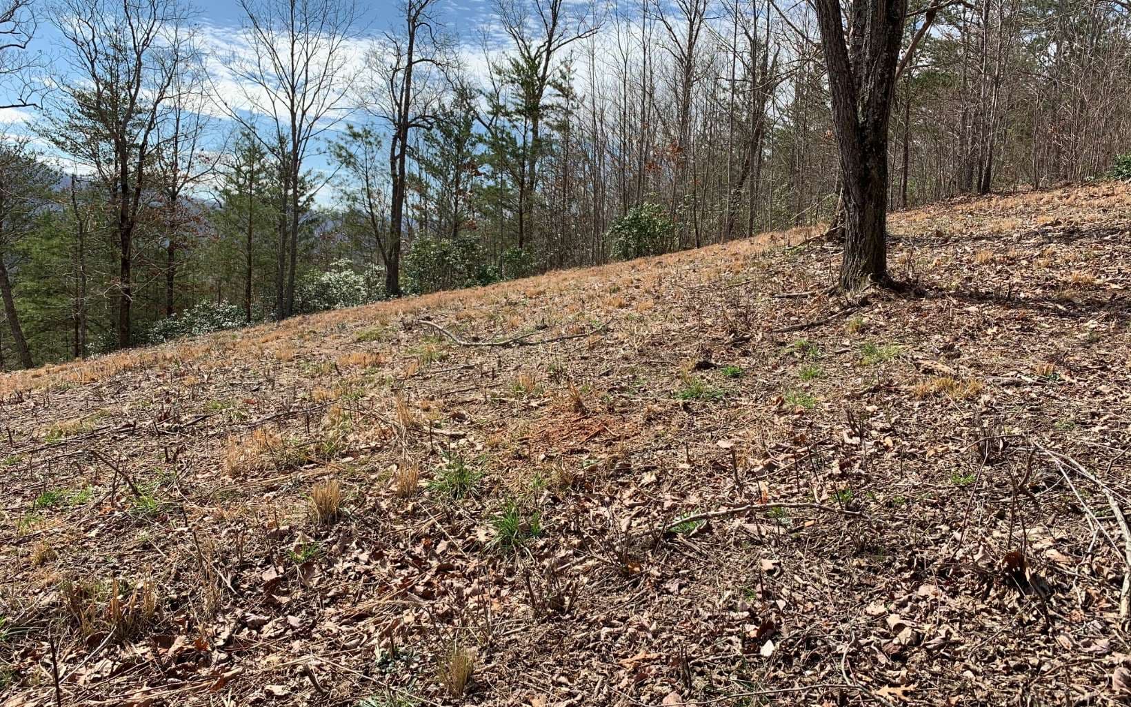 Lot 42 Dan Knob, Hayesville NC 28904 - Photo