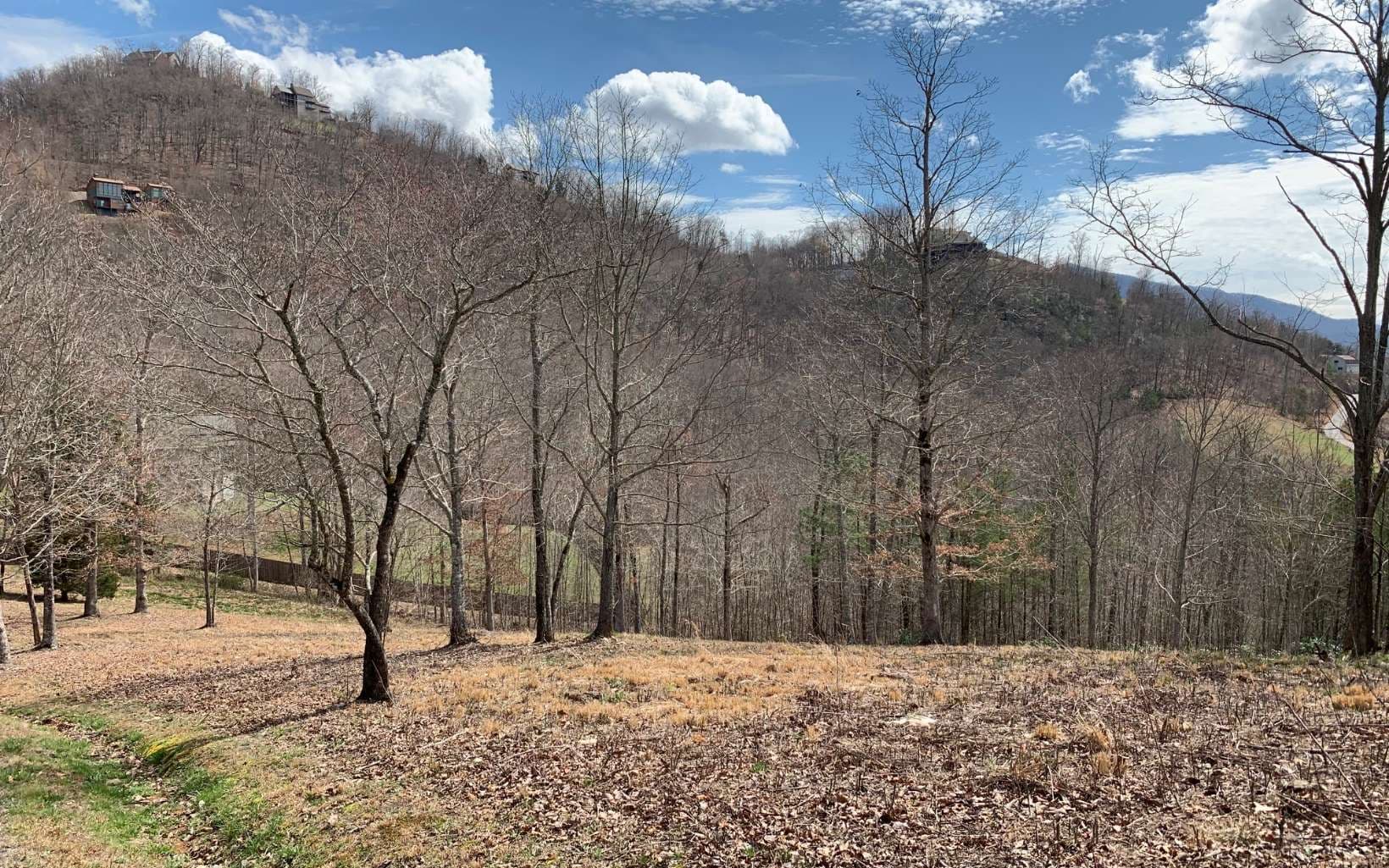 Lot 42 Dan Knob, Hayesville NC 28904 - Photo