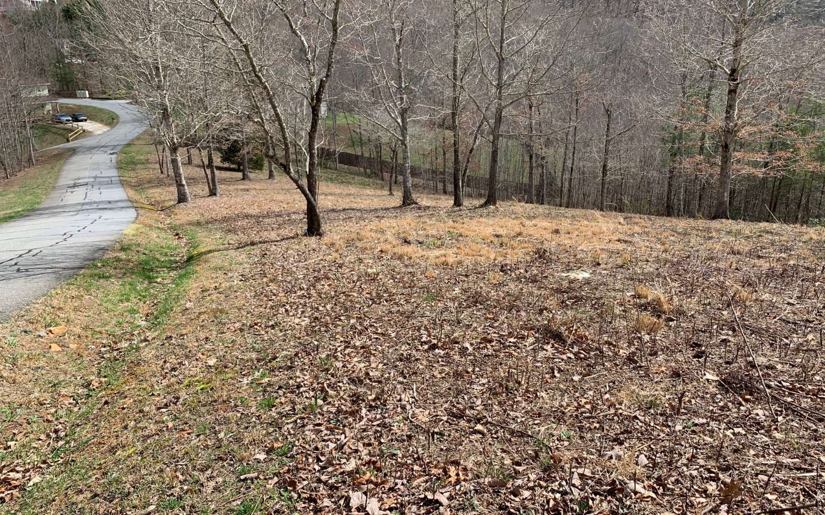 Lot 42 Dan Knob, Hayesville NC 28904 - Photo