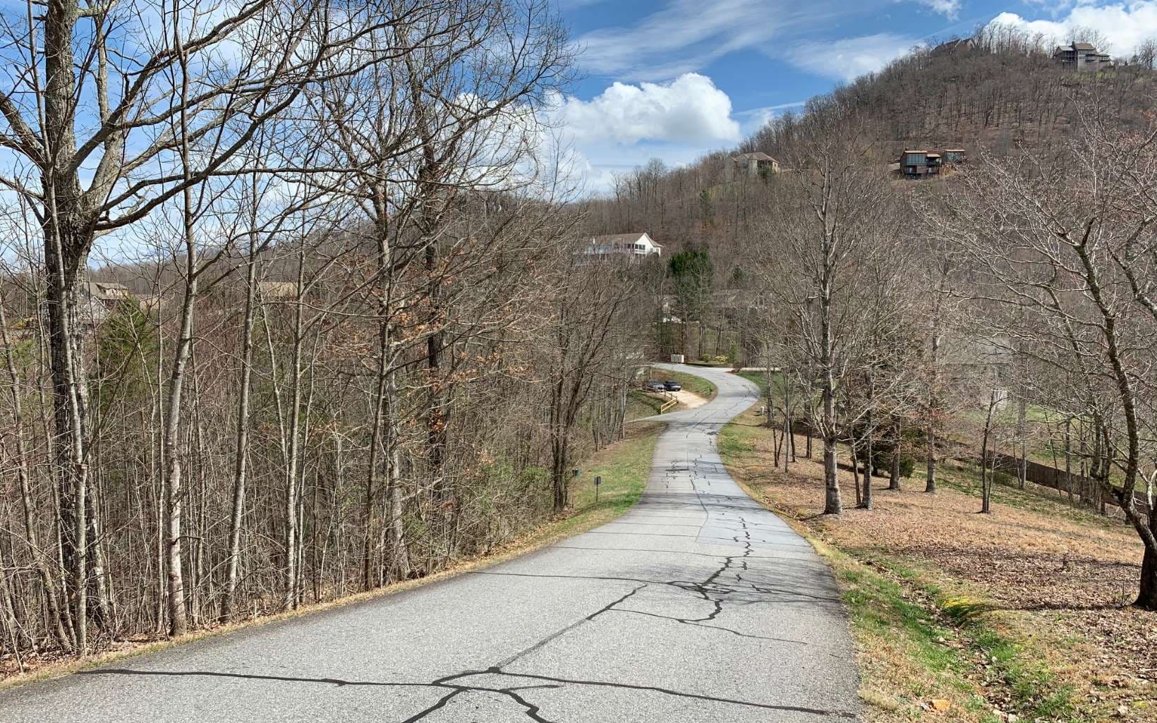 Lot 42 Dan Knob, Hayesville NC 28904 - Photo