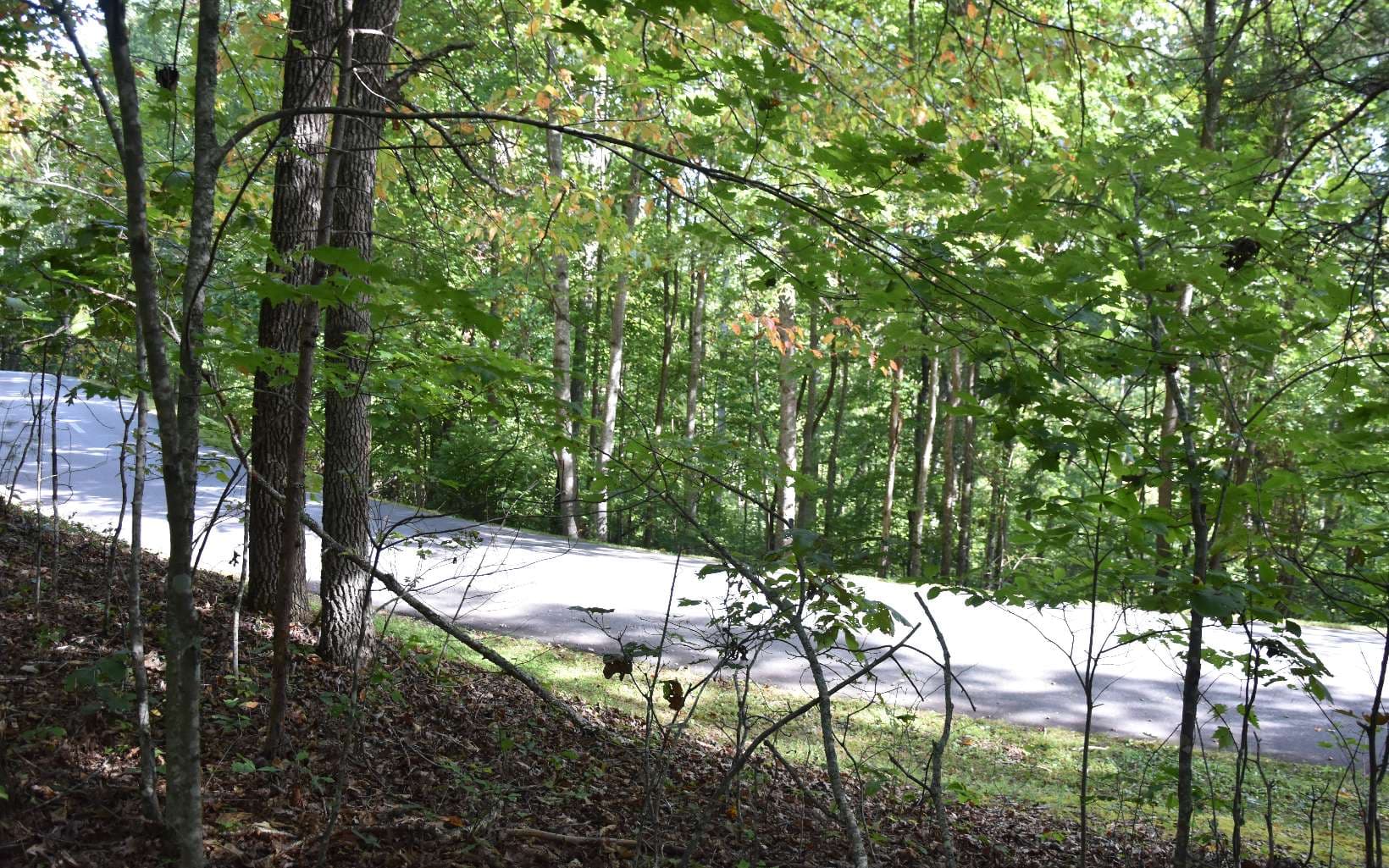 32A Licklog Ridge, Hayesville NC 28904 - Photo