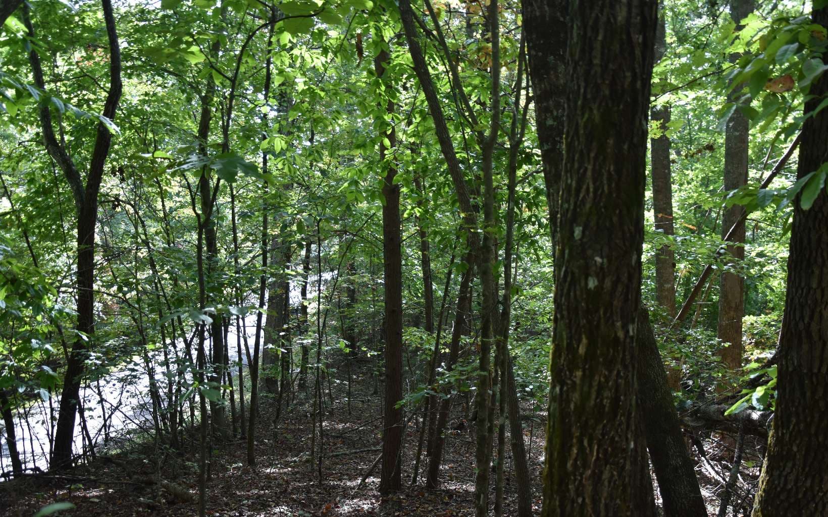 32A Licklog Ridge, Hayesville NC 28904 - Photo