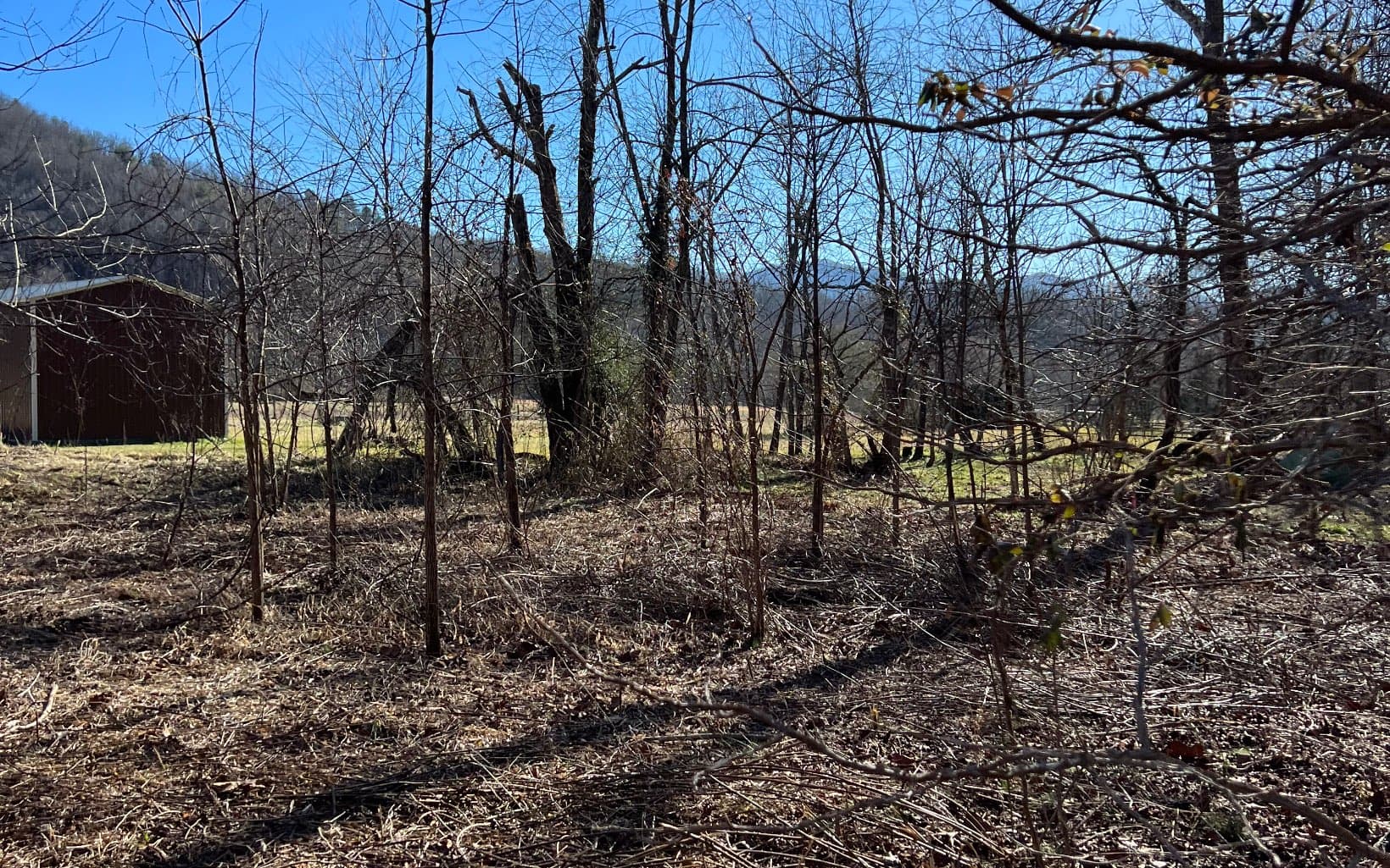 285 Mountain Meadow, Hayesville NC 28904 - Photo