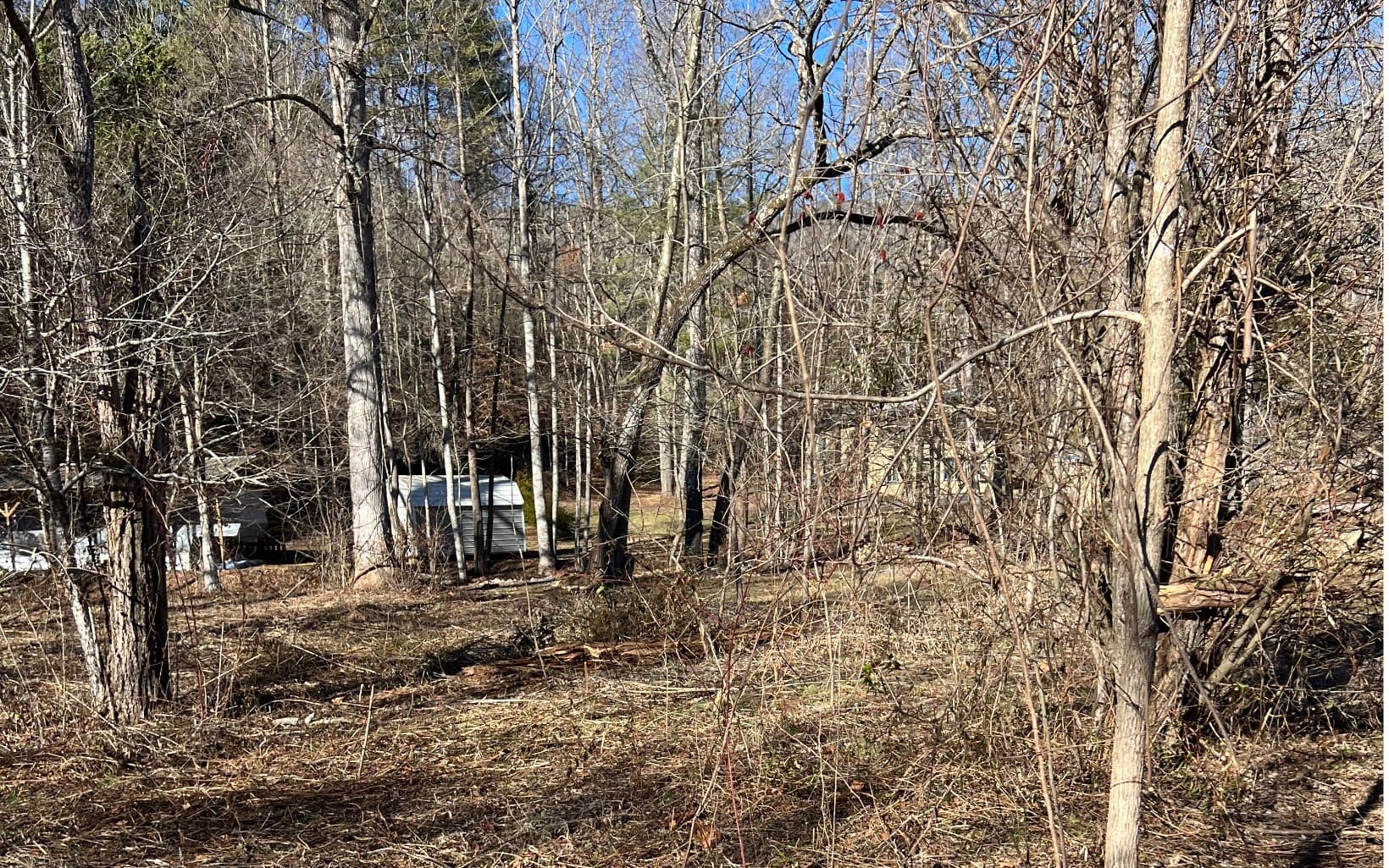 285 Mountain Meadow, Hayesville NC 28904 - Photo