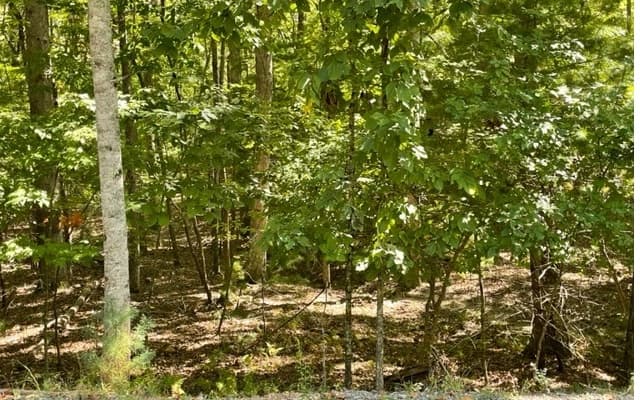 8 AC Payne Way, Blairsville GA 30512 - Primary photo