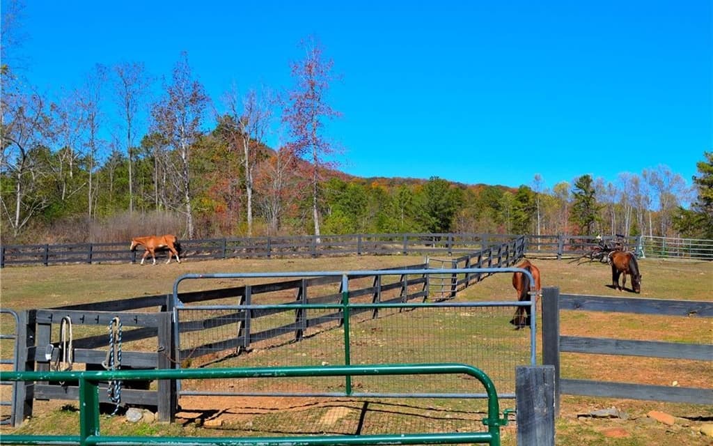31 Fairview Court, Jasper GA 30143 - Photo