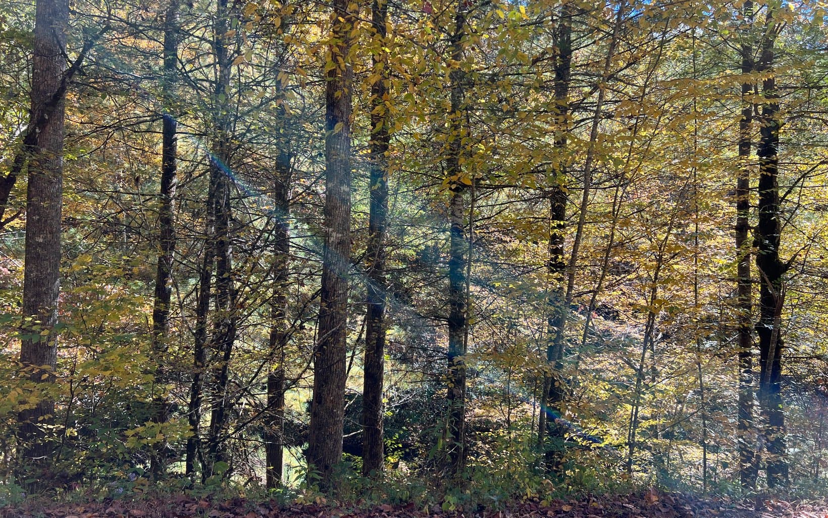 TR 1 Tusquittee Road, Hayesville NC 28904 - Photo