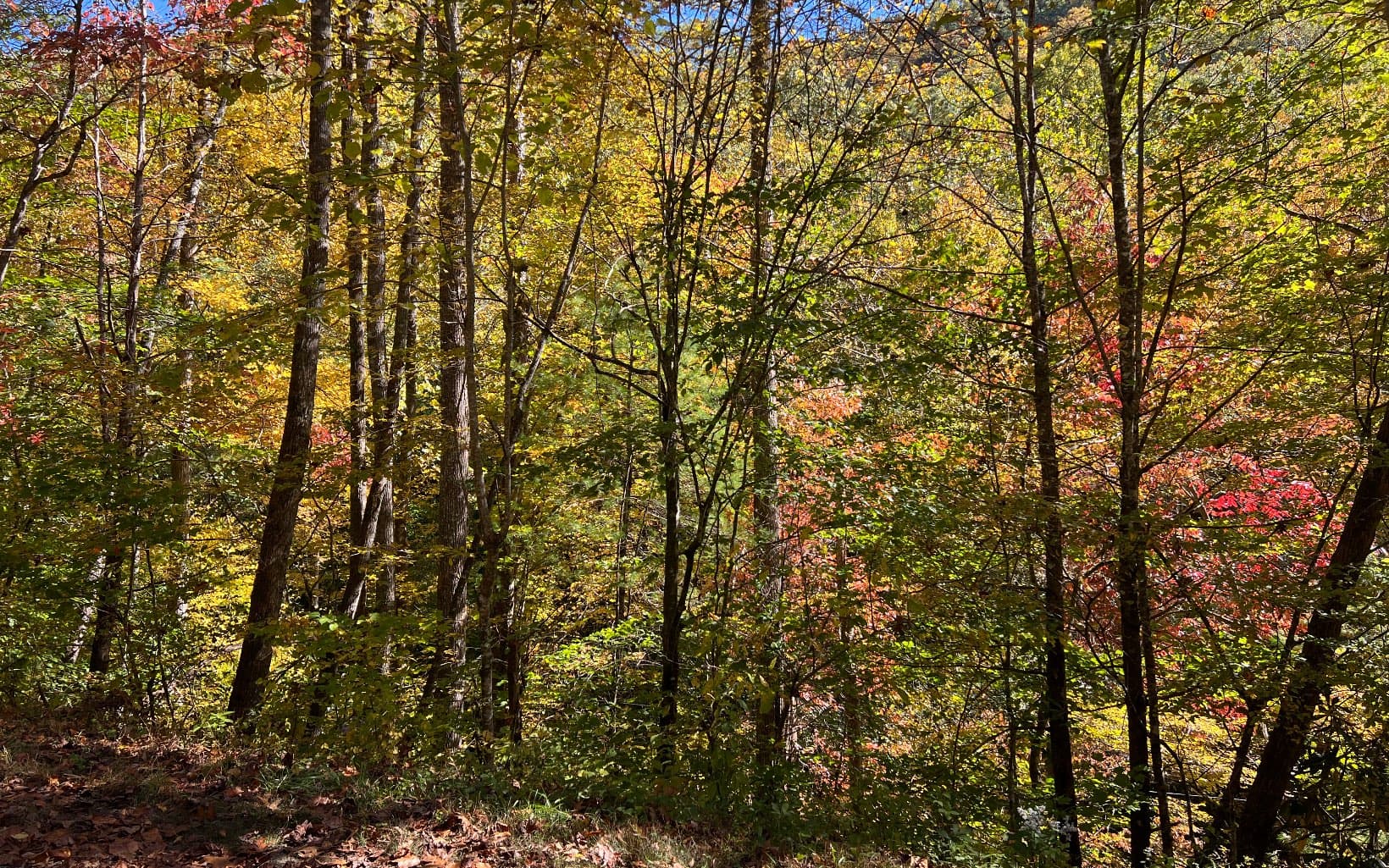 TR 1 Tusquittee Road, Hayesville NC 28904 - Photo