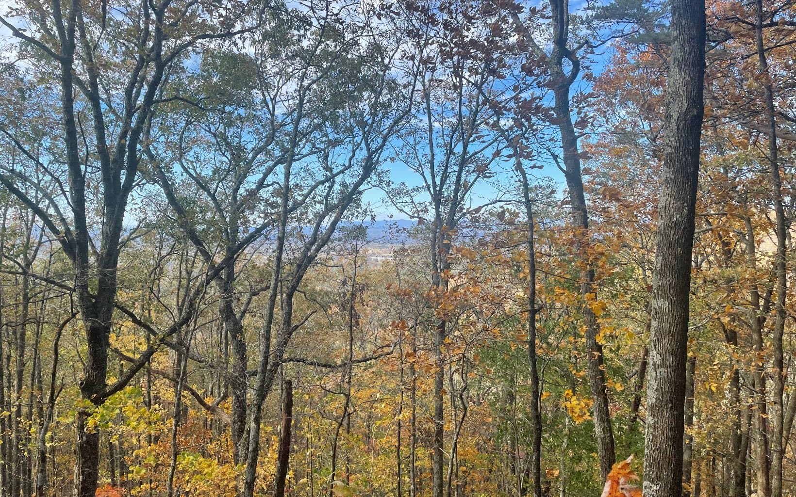 00 Firetower Road, Jasper GA 30143 - Photo
