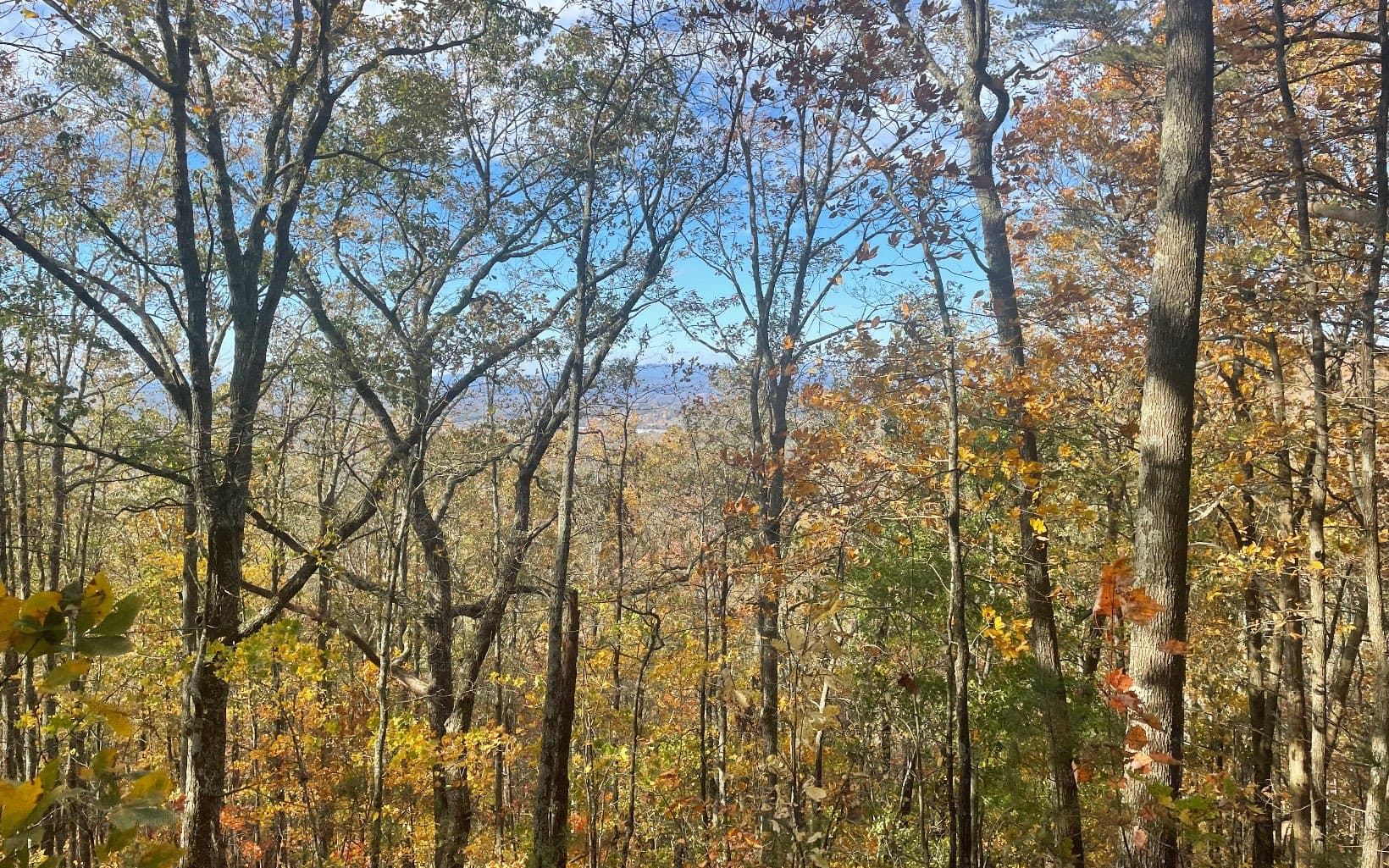 00 Firetower Road, Jasper GA 30143 - Photo
