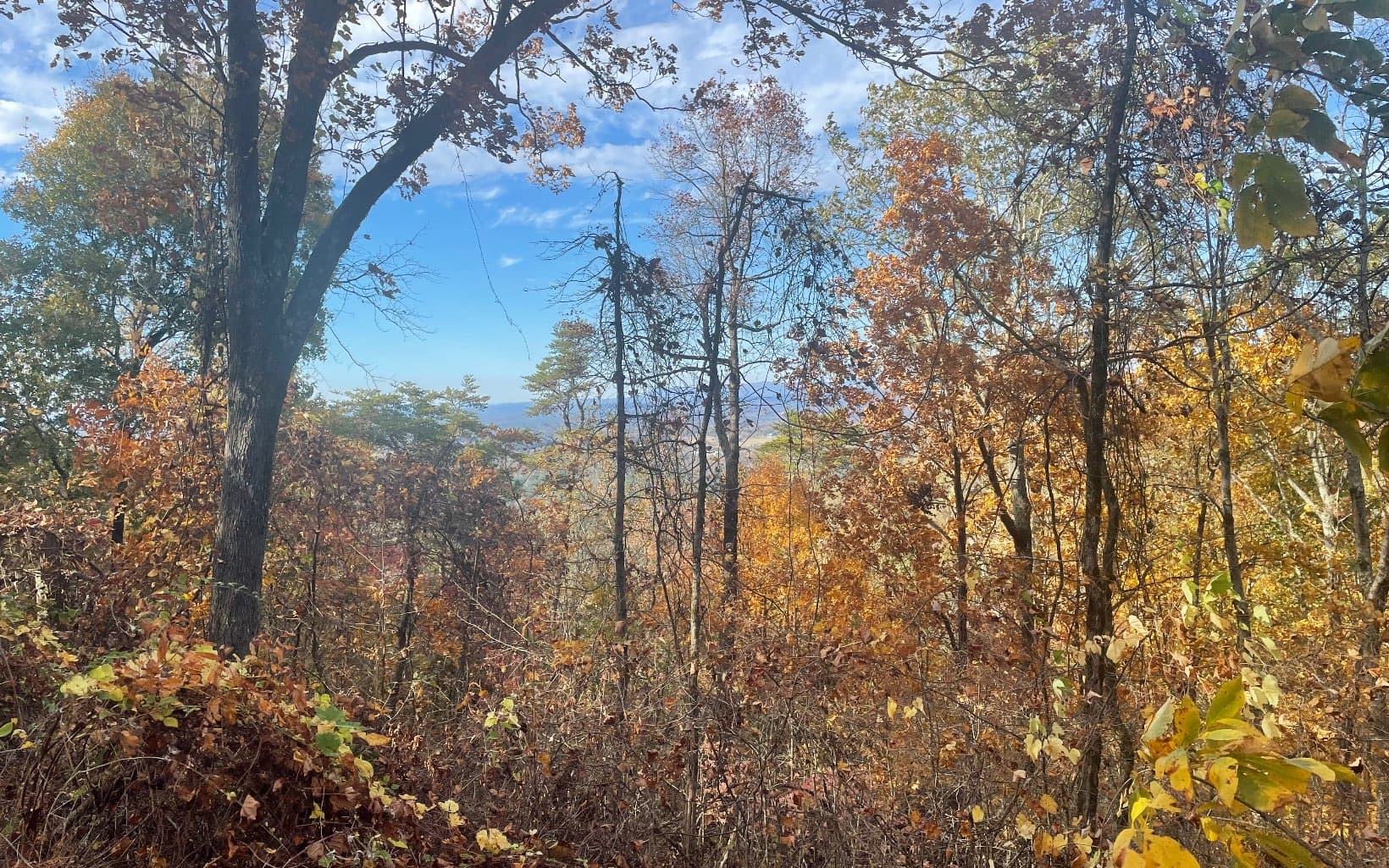 00 Firetower Road, Jasper GA 30143 - Photo