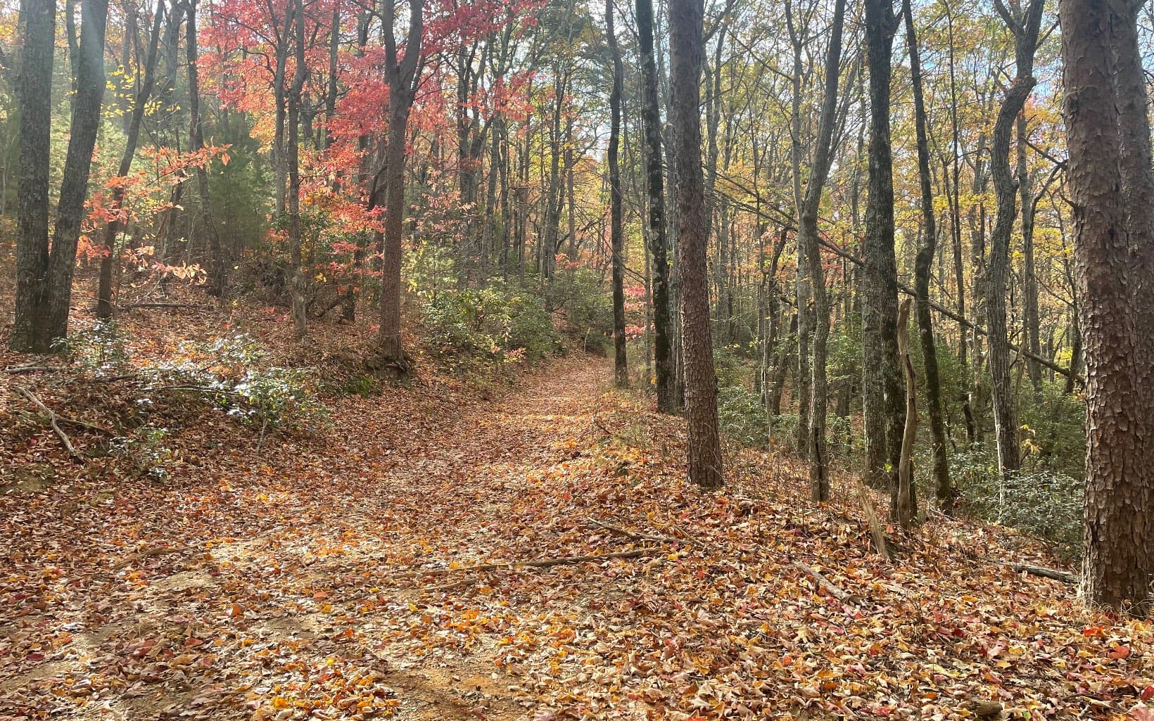 00 Firetower Road, Jasper GA 30143 - Photo